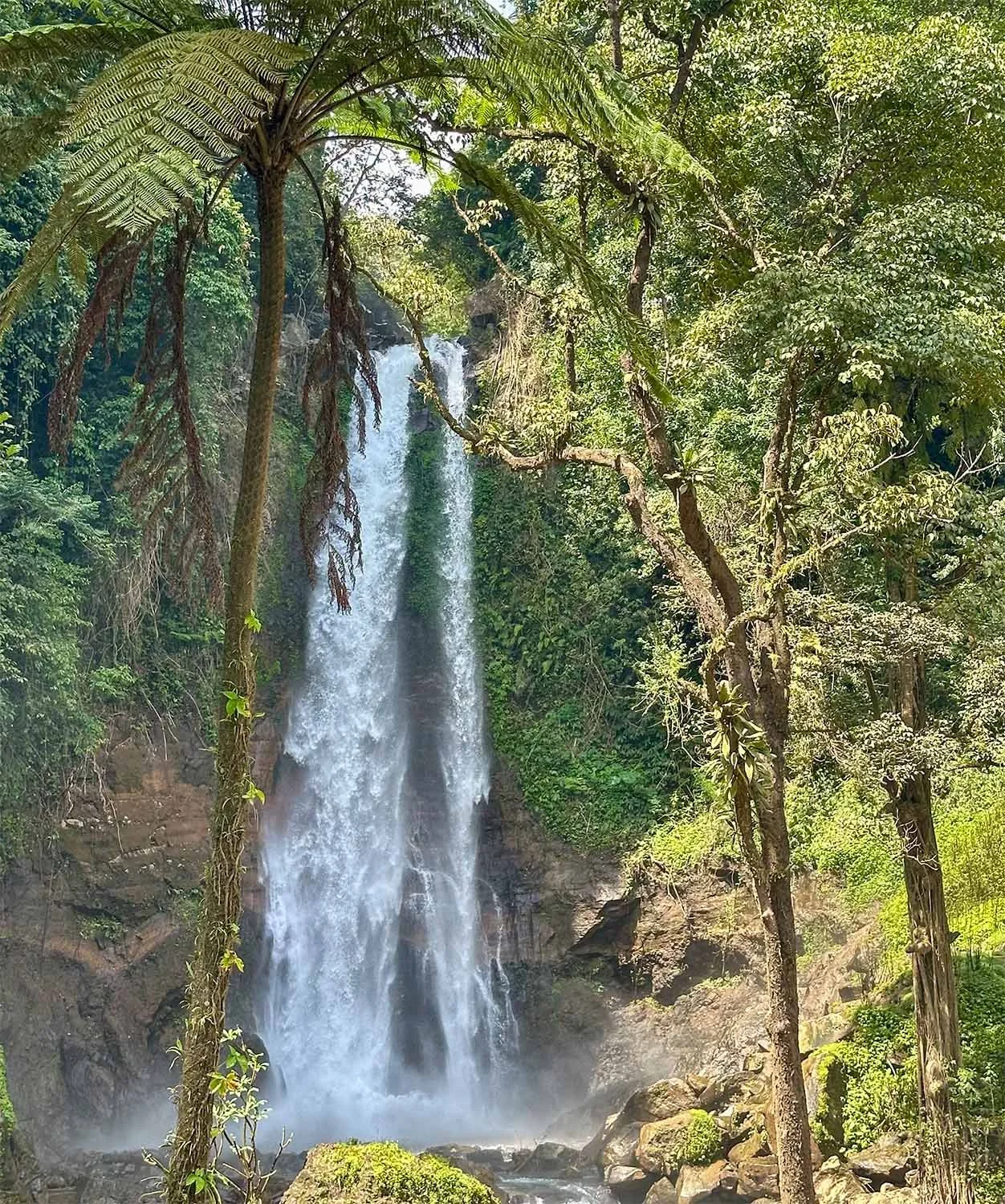 View of the Git Git Waterfall in North Bali surrounded by dense rainforest.