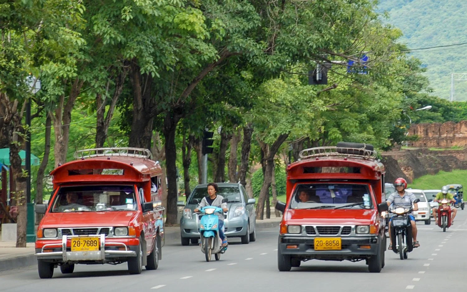 Red songthaews travelling along a tree lined highway in Chiang Mai, Thailand.