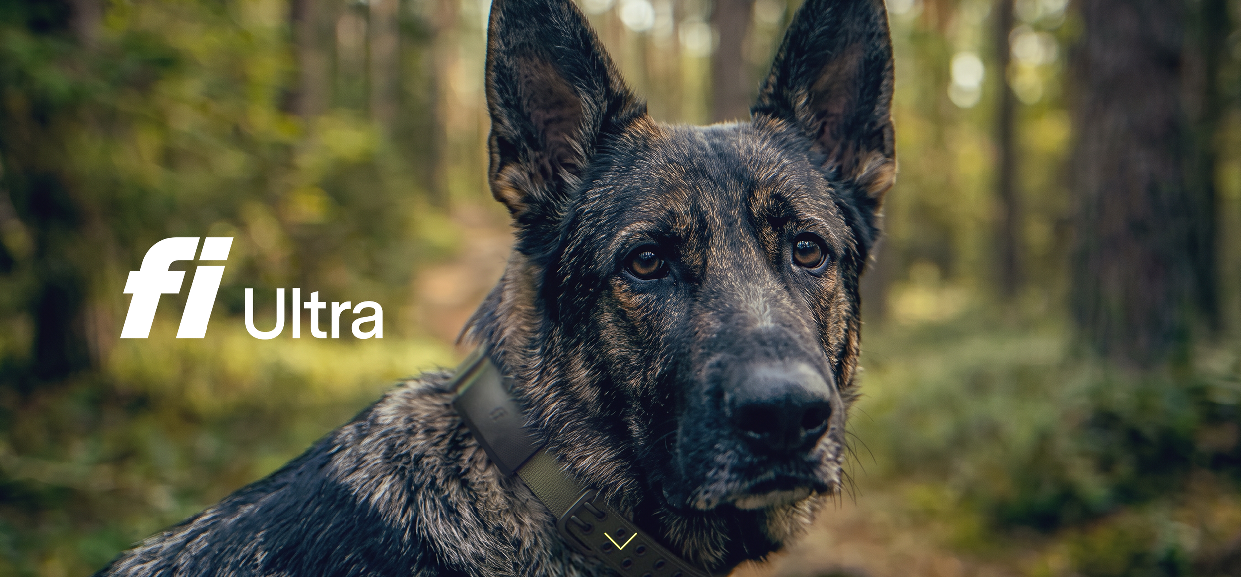  We created the first ever fully photo-realistic dog film. for the world’s first dog tracker and consumer wearable powered by T-Satellite with Starlink. 