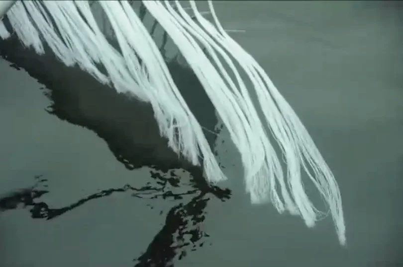 Frame from the video Peine de agua (Water comb), 2015, by Elizabet Cerviño Courtesy elizabetcervino.com