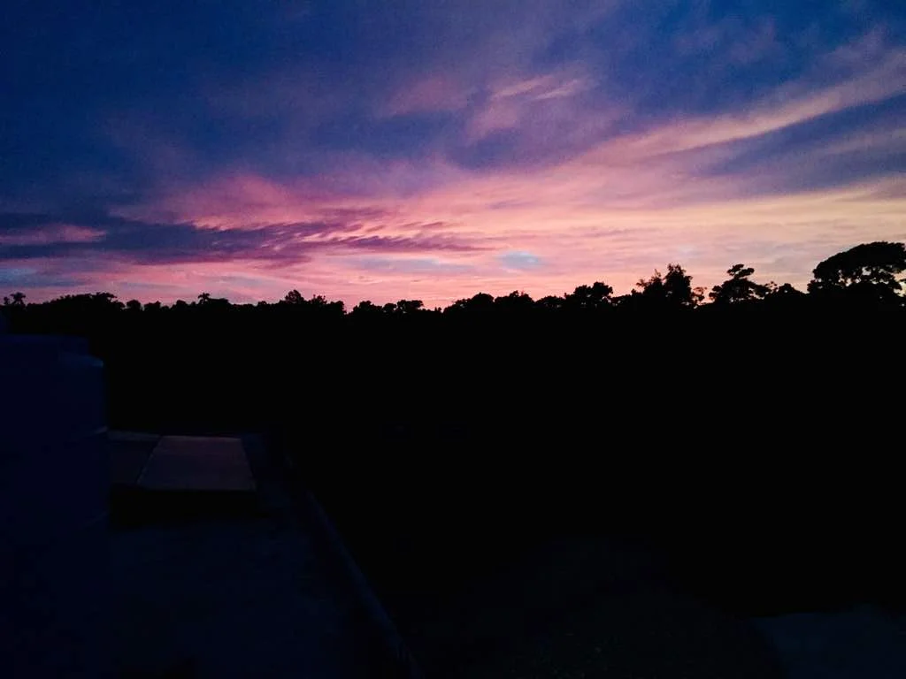 Someone Else's Story