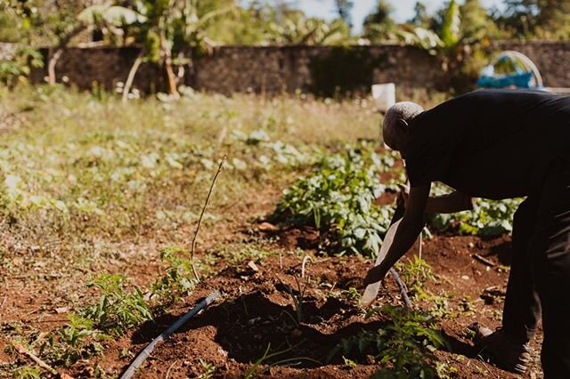 Gardening has been an area that we have really been focusing on in 2020. Our goal is to help improve families&rsquo; access to nutritious food as well as a way to generate income for their families.