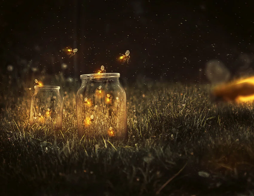 Firefly