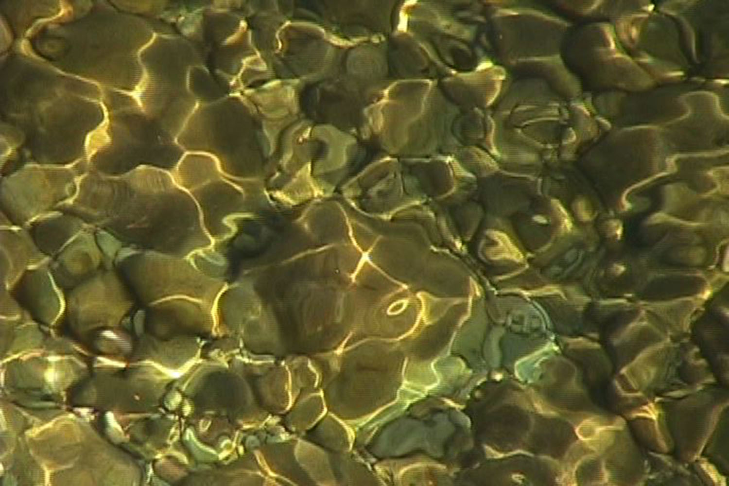 2_Alati, 2010 digital video still.jpg