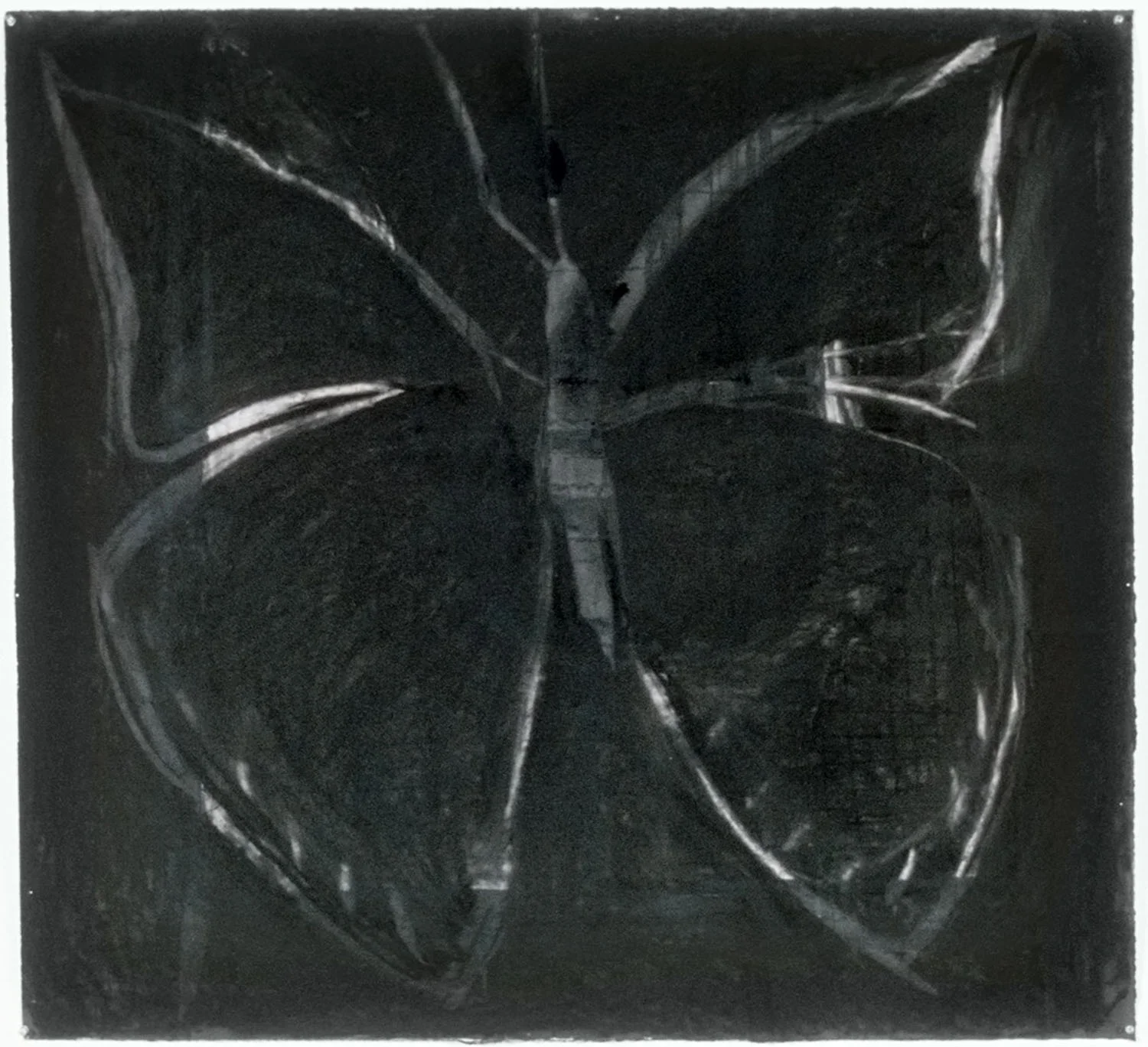 Black Butterfly 1995 charcoal, ink on paper 44
96
Normal
0
false
false
false
EN-US
X-NONE
X-NONE
/* Style Definitions */
table.MsoNormalTable
{mso-style-name:"Table Normal";
mso-tstyle-rowband-size:0;
mso-tstyle-colband-size:0;
mso-style-noshow:yes;
mso-style-priority:99;
mso-style-parent:"";
mso-padding-alt:0in 5.4pt 0in 5.4pt;
mso-para-margin:0in;
mso-para-margin-bottom:.0001pt;
mso-pagination:widow-orphan;
font-size:12.0pt;
font-family:Calibri;
mso-ascii-font-family:Calibri;
mso-ascii-theme-font:minor-latin;
mso-hansi-font-family:Calibri;
mso-hansi-theme-font:minor-latin;}
½ x 47
96
Normal
0
false
false
false
EN-US
X-NONE
X-NONE
/* Style Definitions */
table.MsoNormalTable
{mso-style-name:"Table Normal";
mso-tstyle-rowband-size:0;
mso-tstyle-colband-size:0;
mso-style-noshow:yes;
mso-style-priority:99;
mso-style-parent:"";
mso-padding-alt:0in 5.4pt 0in 5.4pt;
mso-para-margin:0in;
mso-para-margin-bottom:.0001pt;
mso-pagination:widow-orphan;
font-size:12.0pt;
font-family:Calibri;
mso-ascii-font-family:Calibri;
mso-ascii-theme-font:minor-latin;
mso-hansi-font-family:Calibri;
mso-hansi-theme-font:minor-latin;}
½ inches