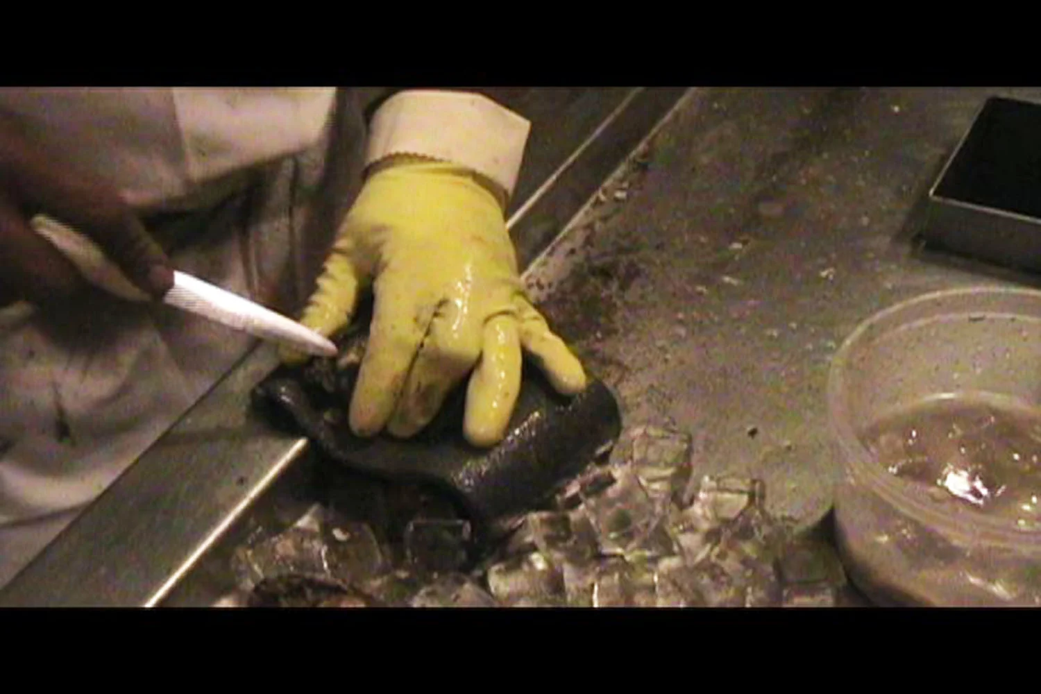 Constant Abrasive Irritation Produces the Pearl: A Disease of the Oyster | A Prospect.2+ Exhibition