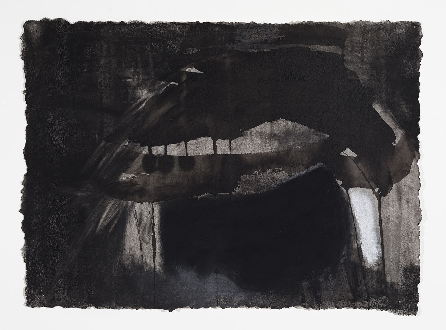 Untitled (Georgia 2) 2018 ink, charcoal. pastel on paper 13 ½ x 18 ½ inches