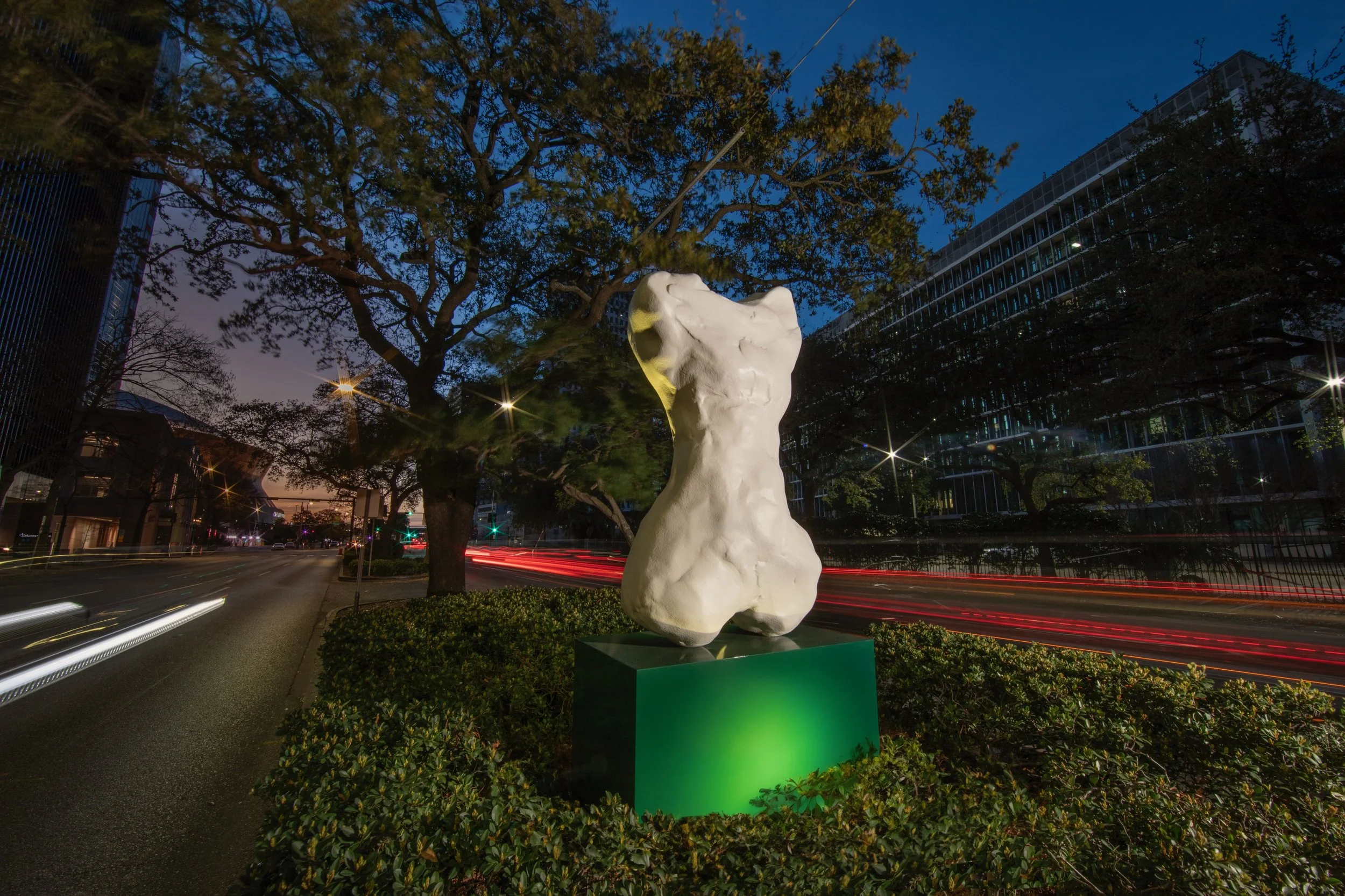 ViVa (& the whole garden will bow)