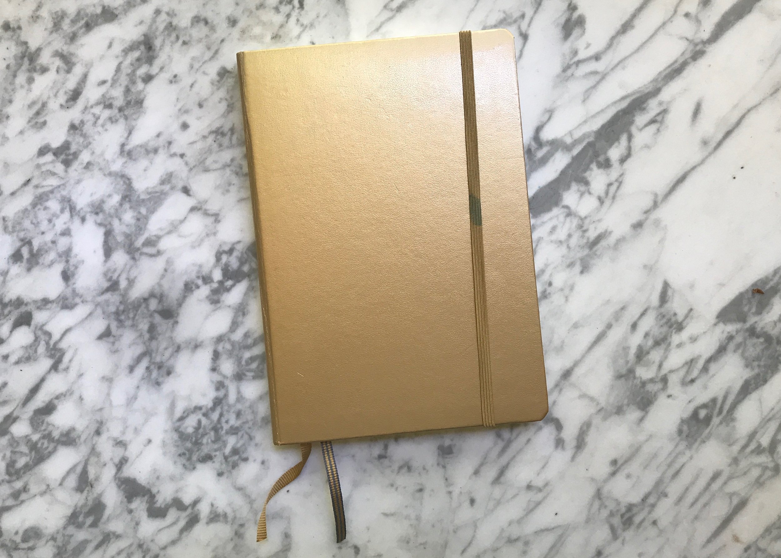 Journaling Notebooks Review: Leuchtturm 1917 and Traveler's Company  Notebook. 