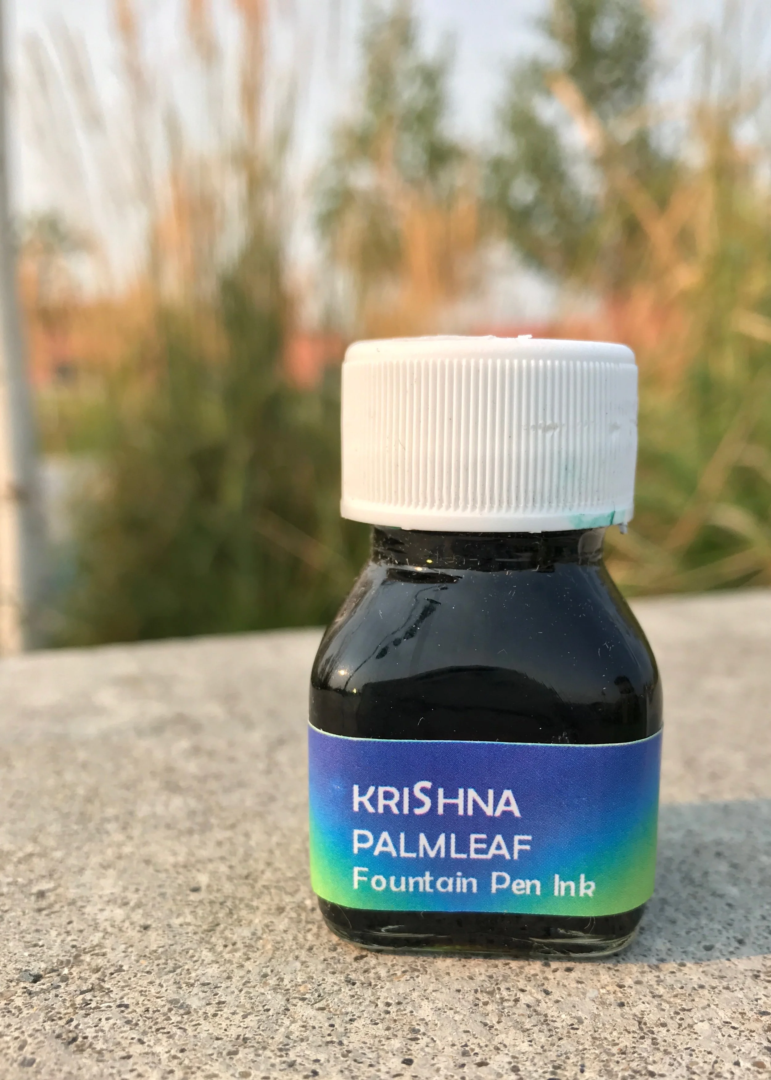KPalmLeaf - 3.jpg