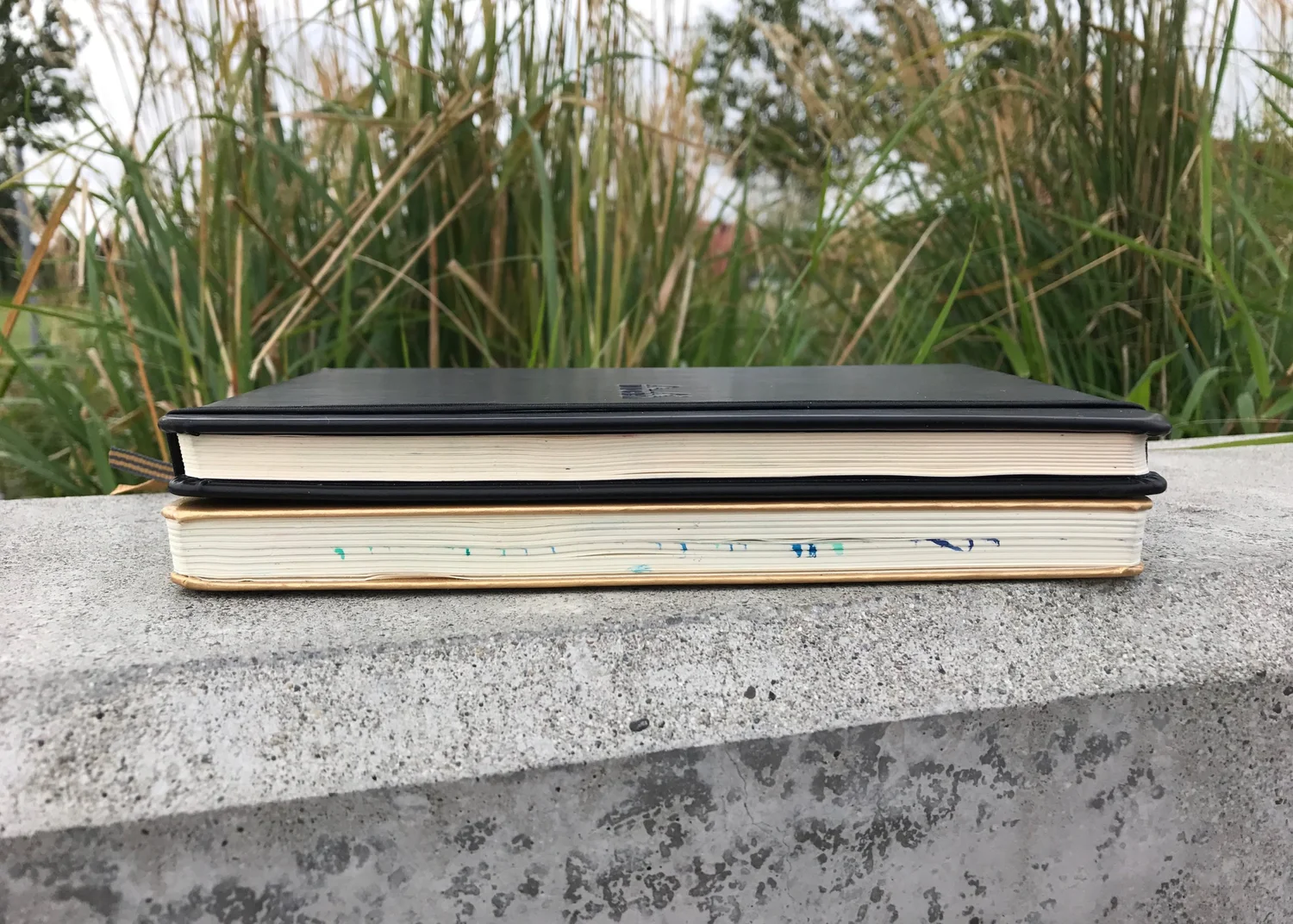 Notebook Review #7: Rhodia Webnotebook — Mountain of Ink