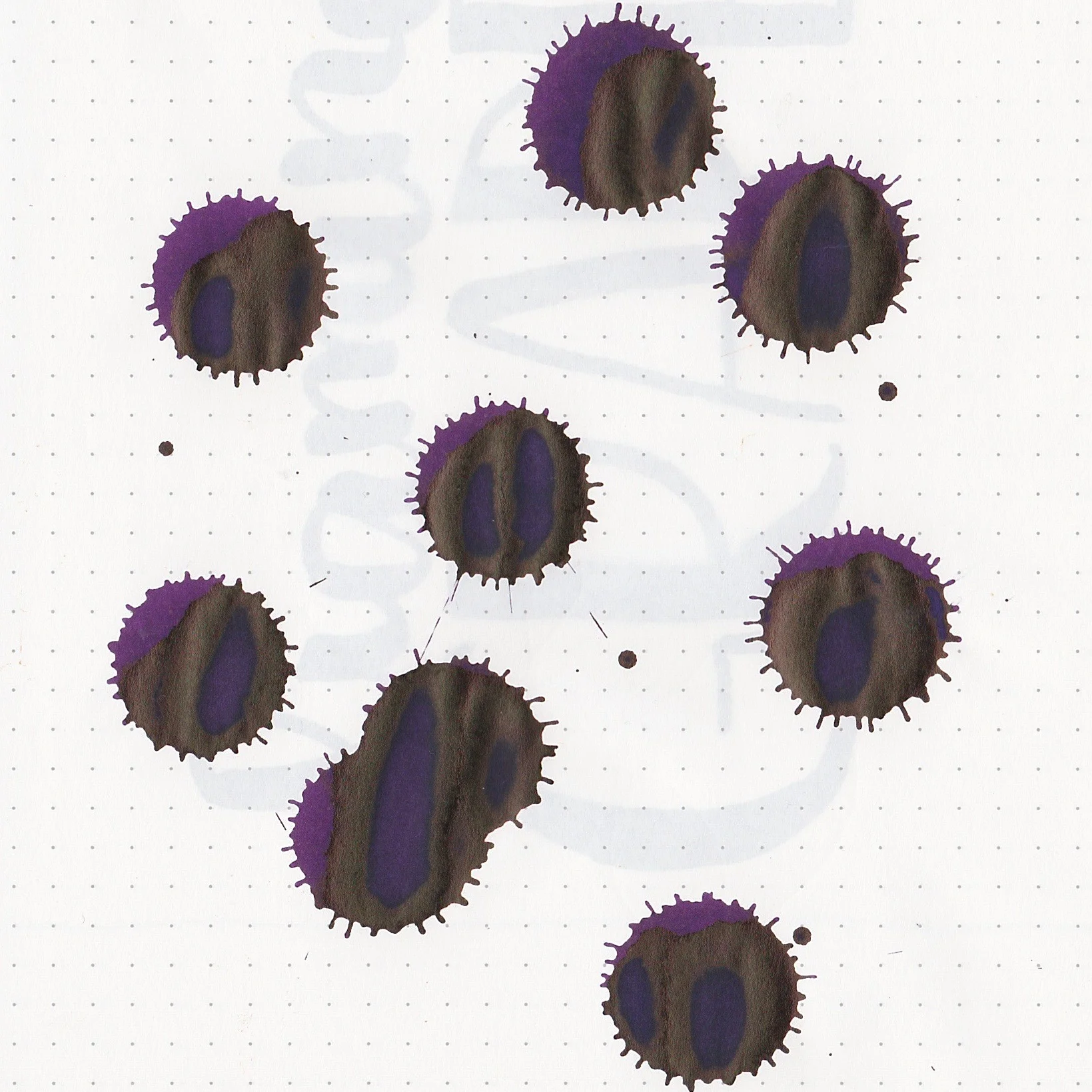 DGrape - 15.jpg