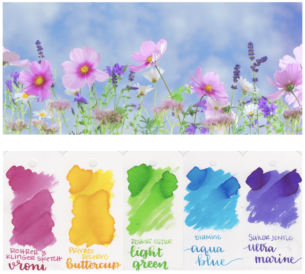 spring-bloom-3.jpg