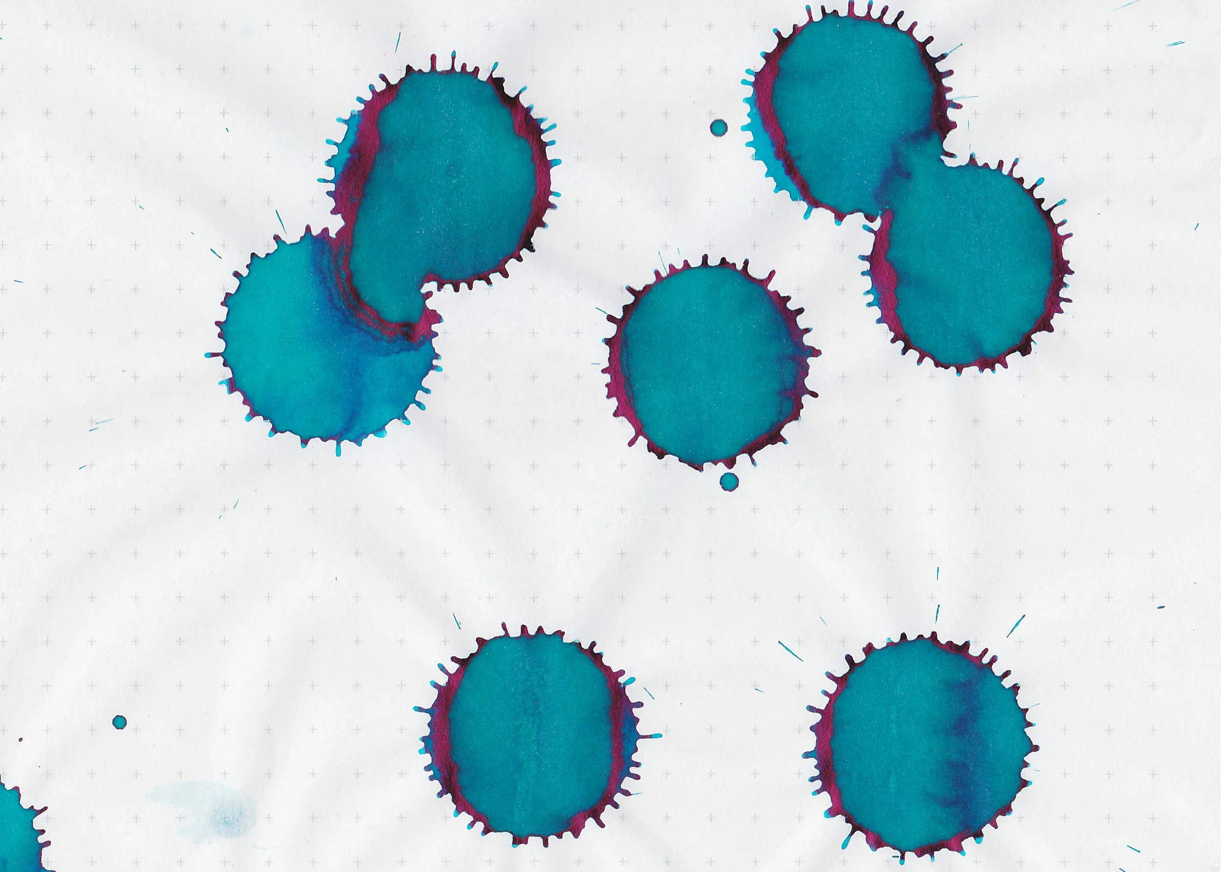 os-alanine-aqua-4.jpg
