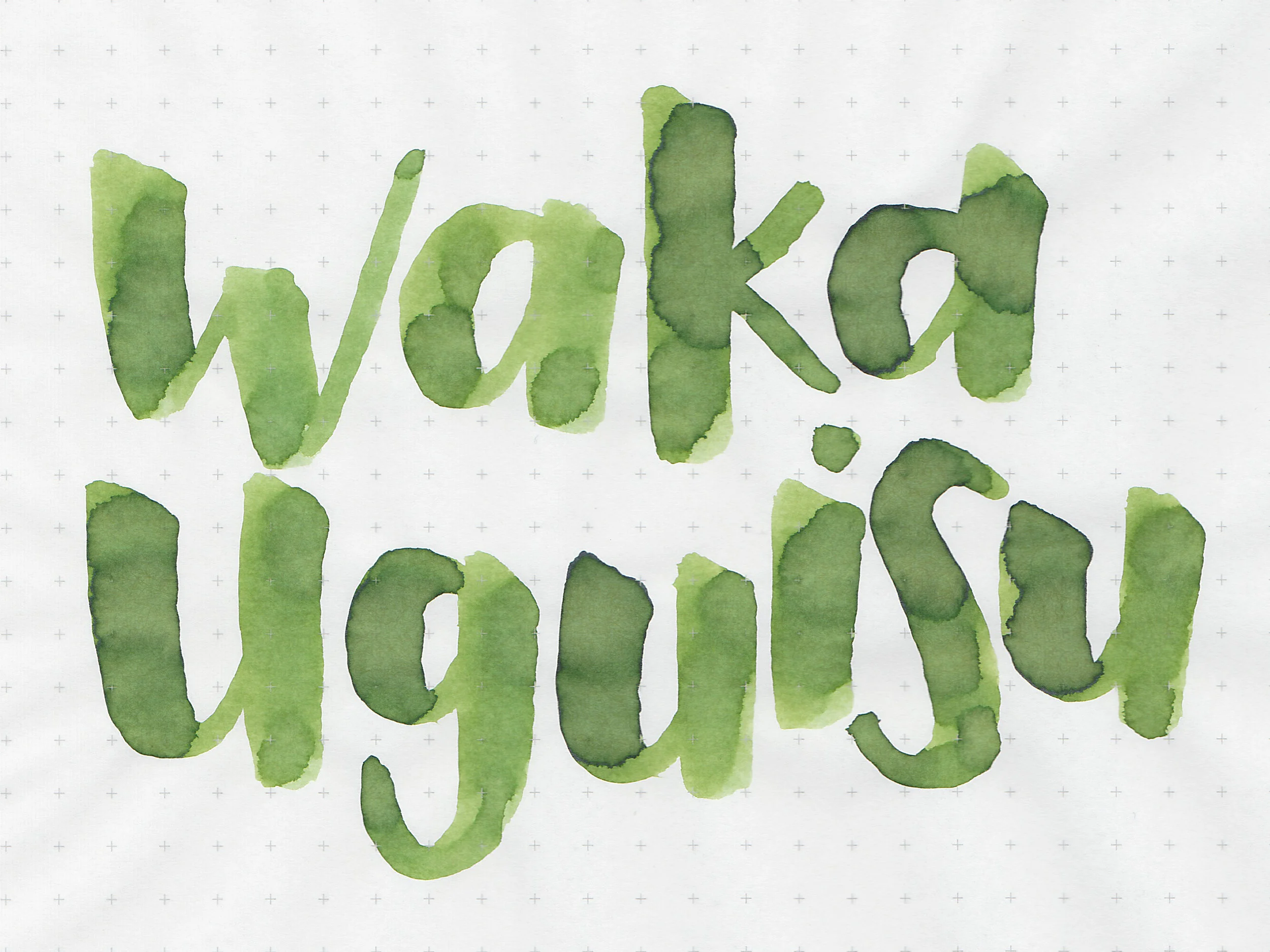 sj-waka-uguisu-2.jpg