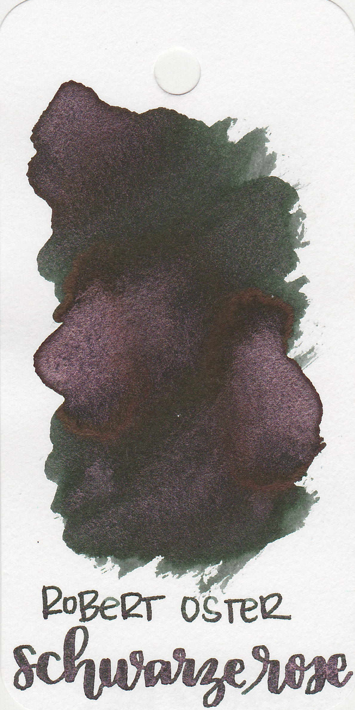 eo-schwarze-rose-1.jpg