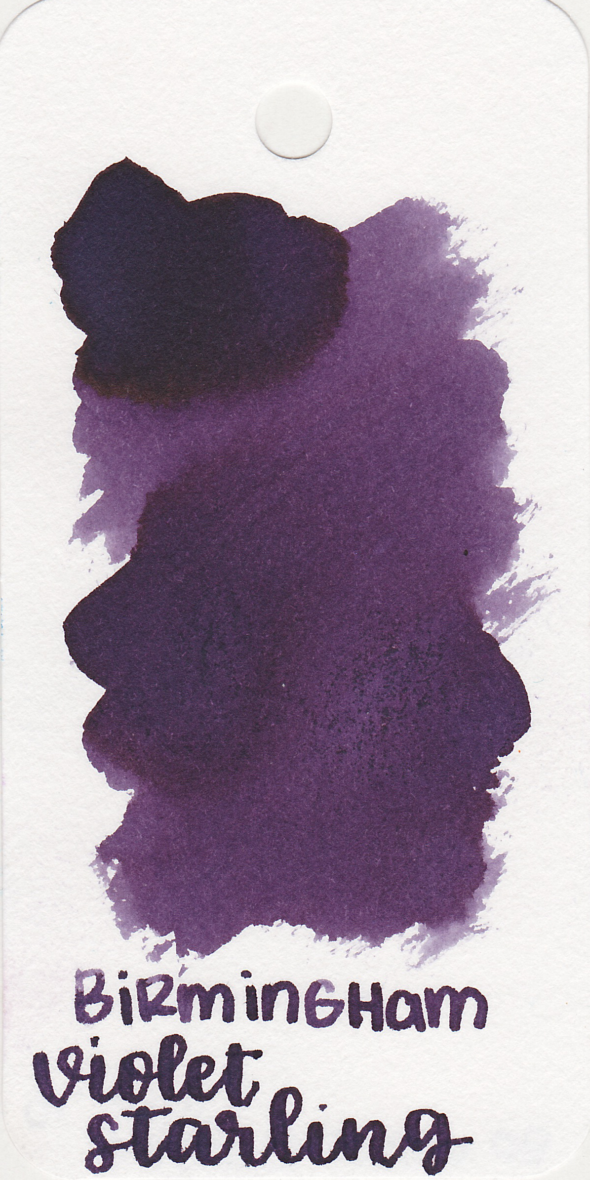 bp-violet-starling-1.jpg