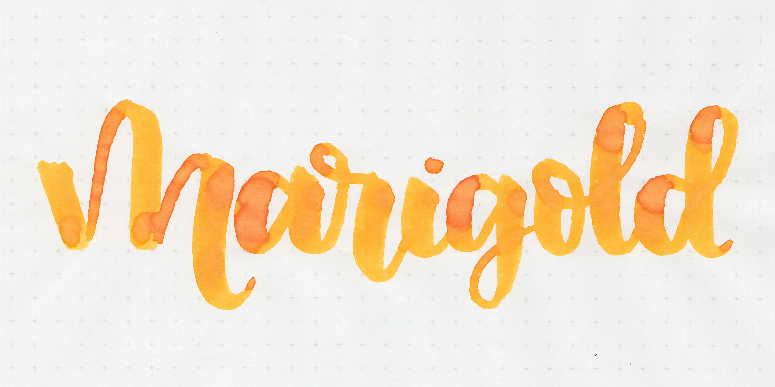 d-marigold-2.jpg