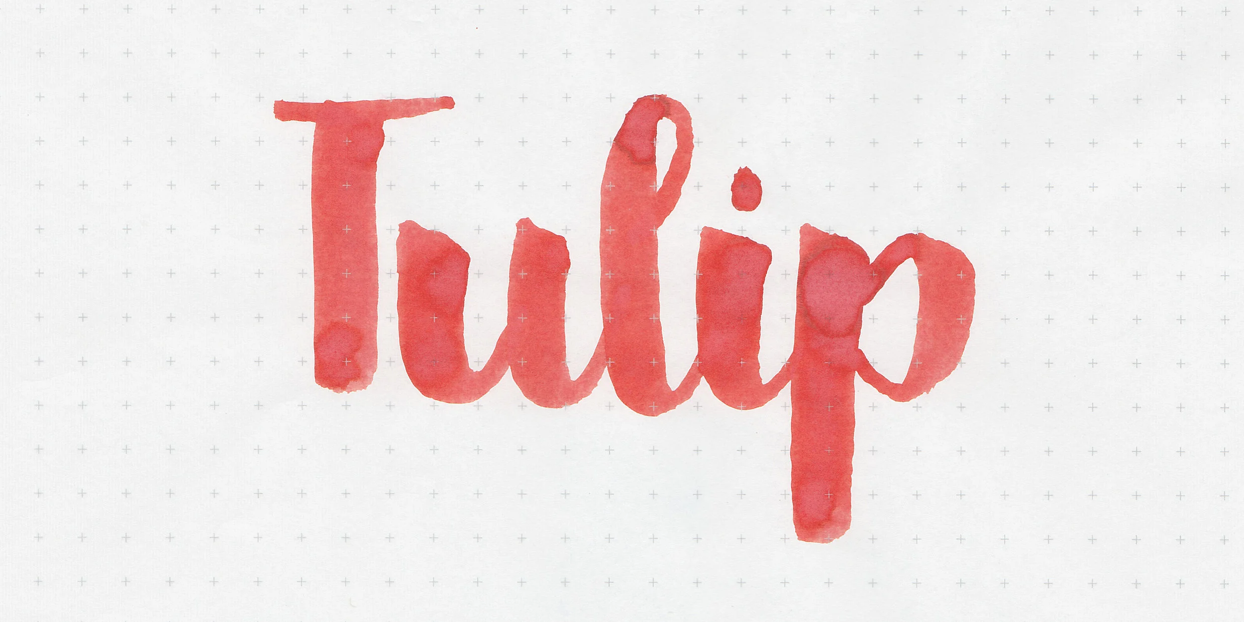 d-tulip-2.jpg