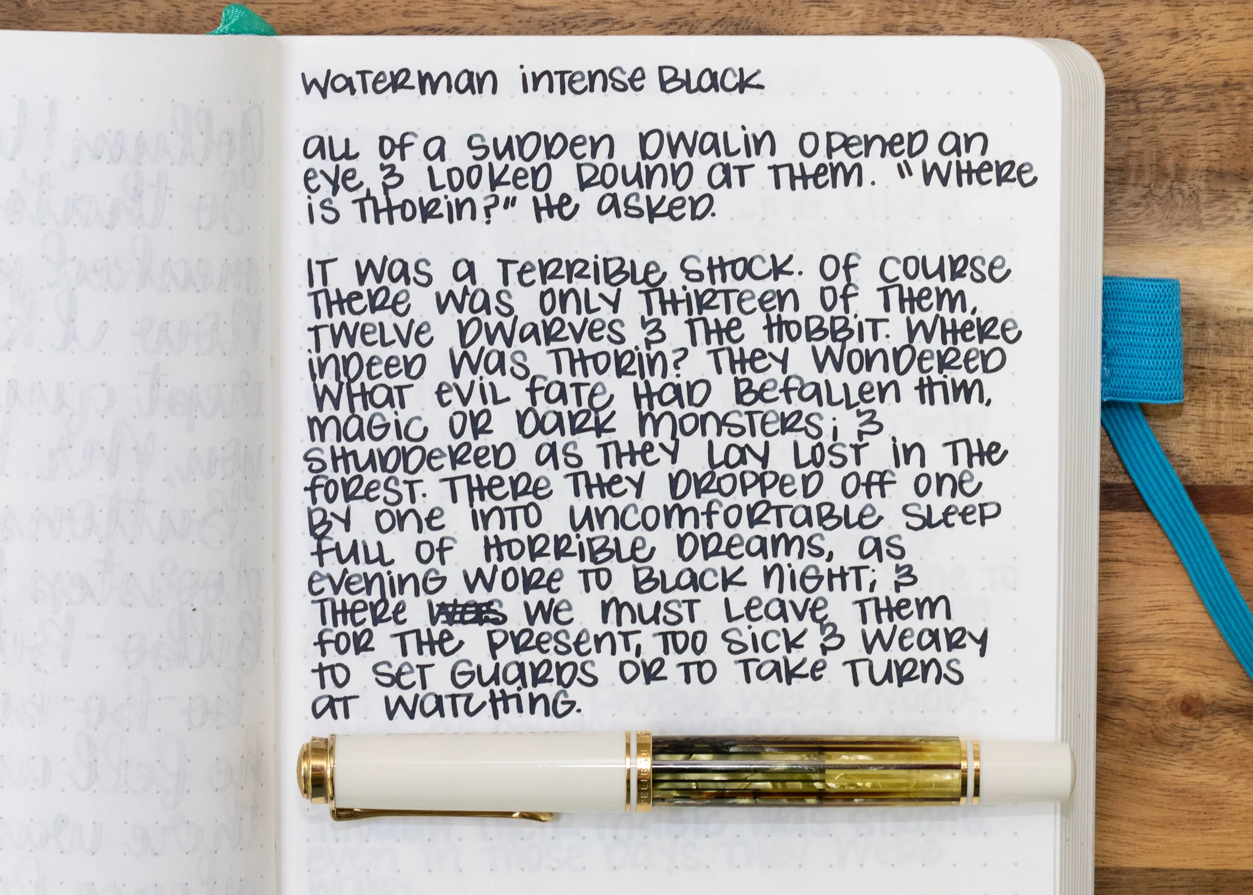 I used a medium Pelikan M400 White Tortoise on an ivory Hippo Noto Notebook. The ink had an average flow.
