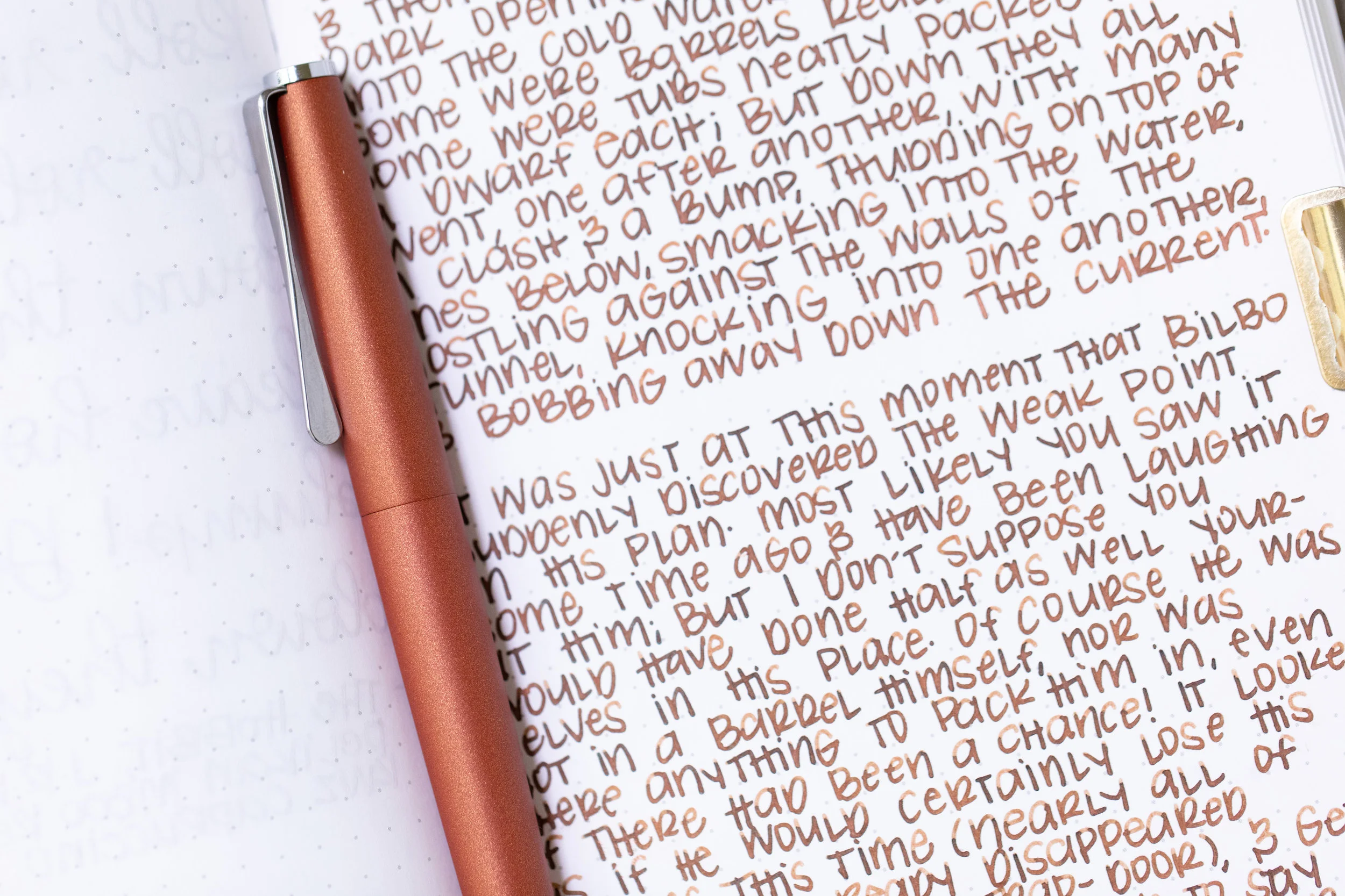 I used a medium Lamy Studio Terracotta on Tomoe River 68gsm. The ink had an average flow.