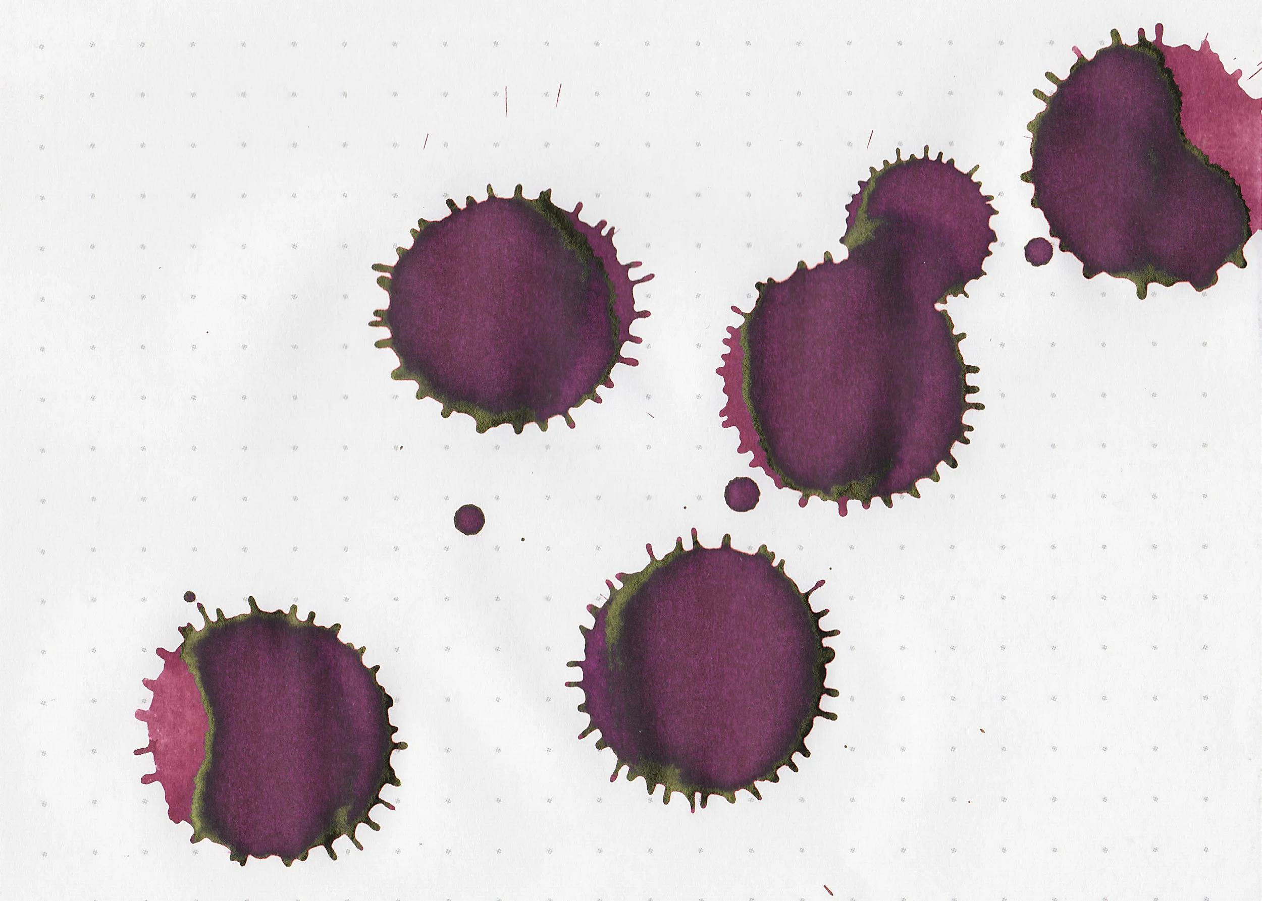 nk-kounan-maroon-4.jpg