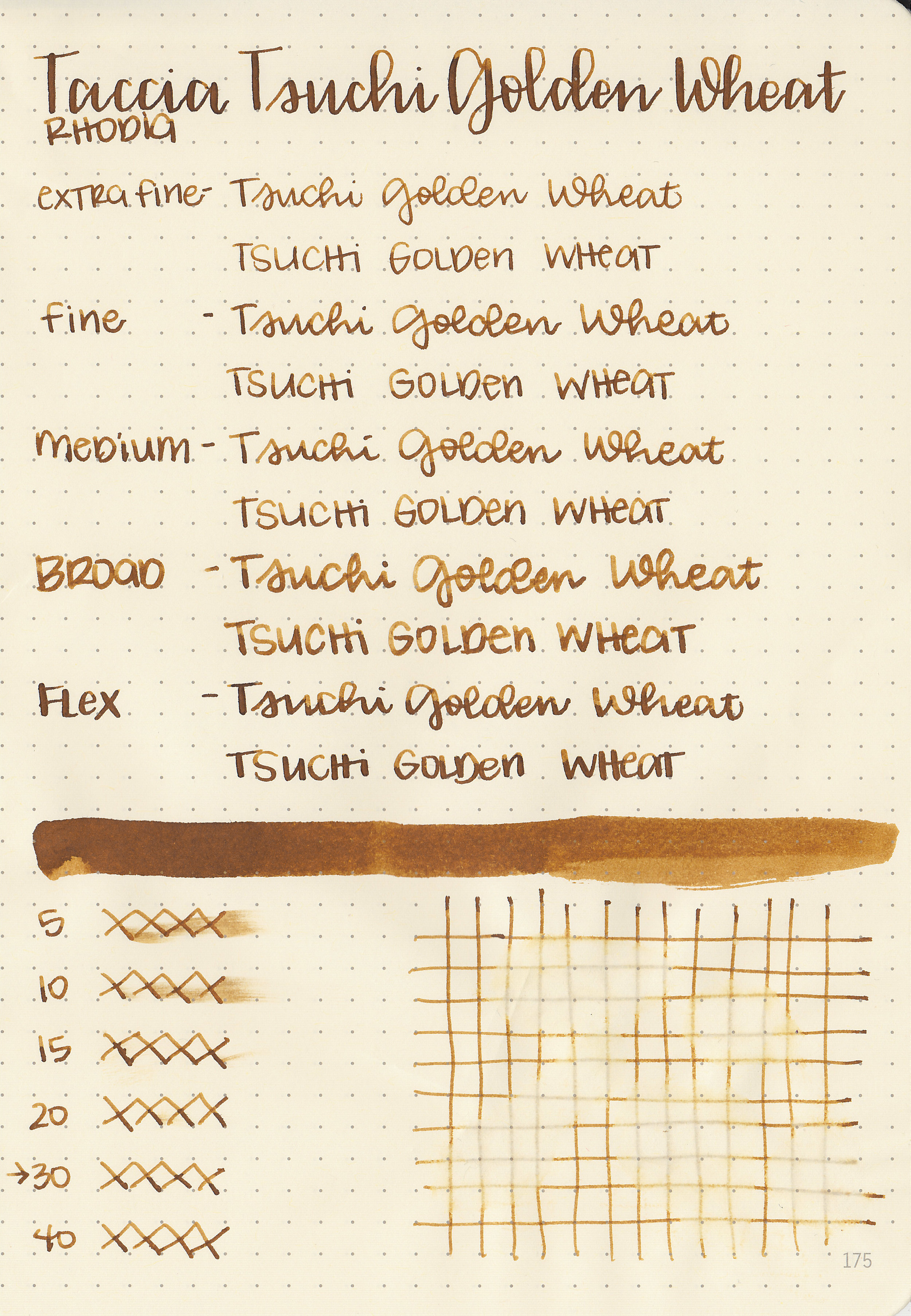 tac-tsuchi-golden-wheat-5.jpg
