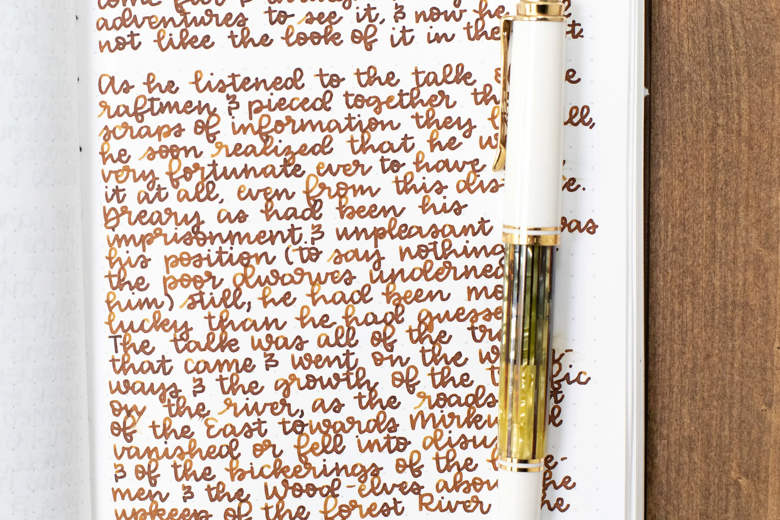 I used a medium Pelikan M400 White Tortoise on Tomoe River 68gsm. The ink had a wet flow.