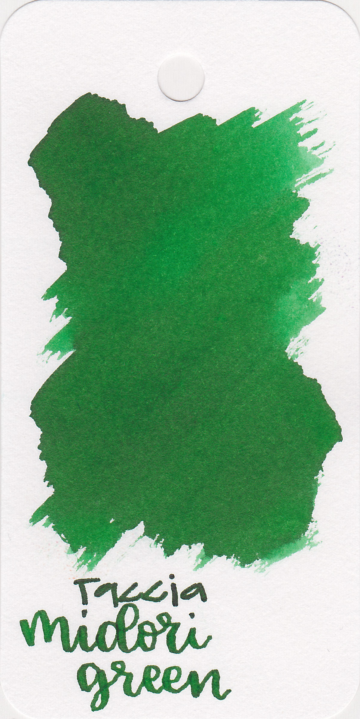 tac-midori-green-1.jpg