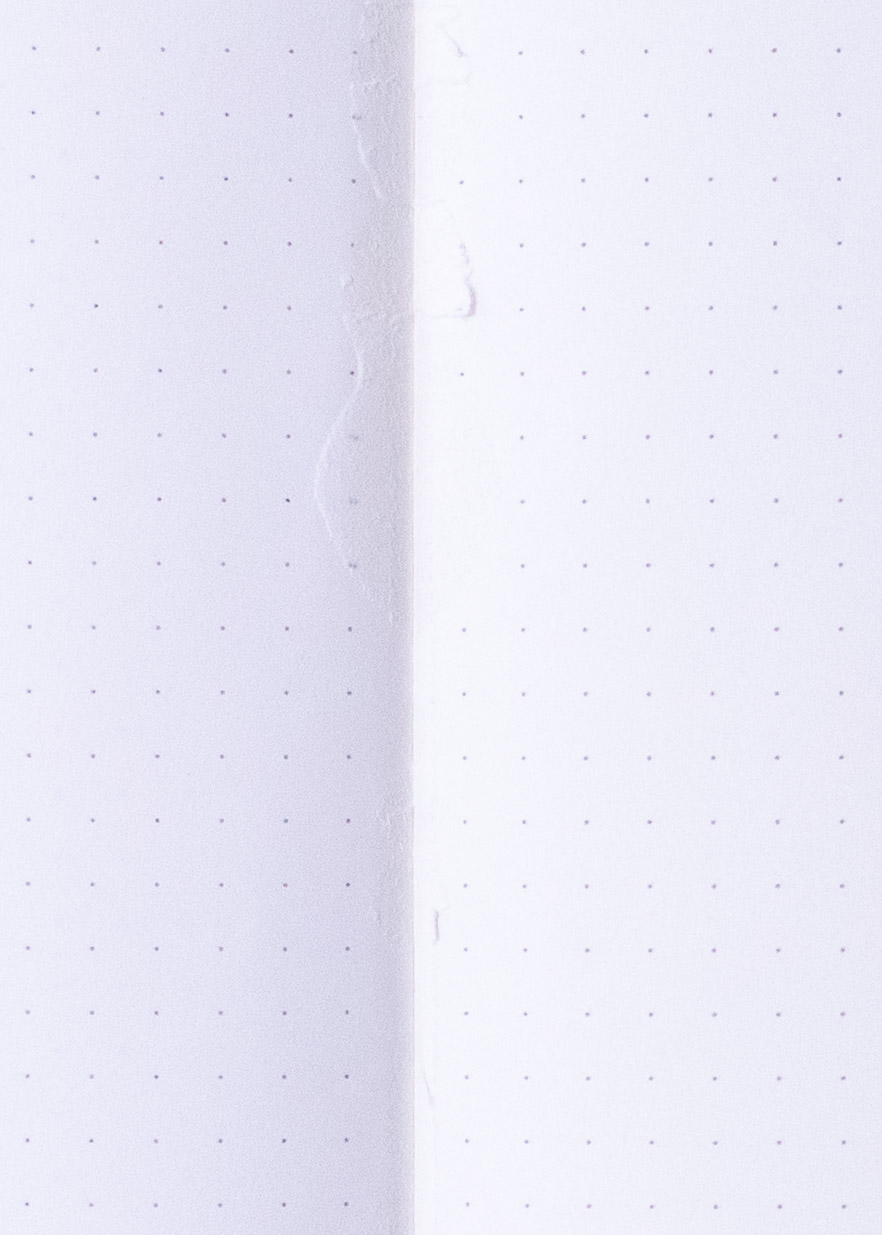 endless-recorder-4.jpg