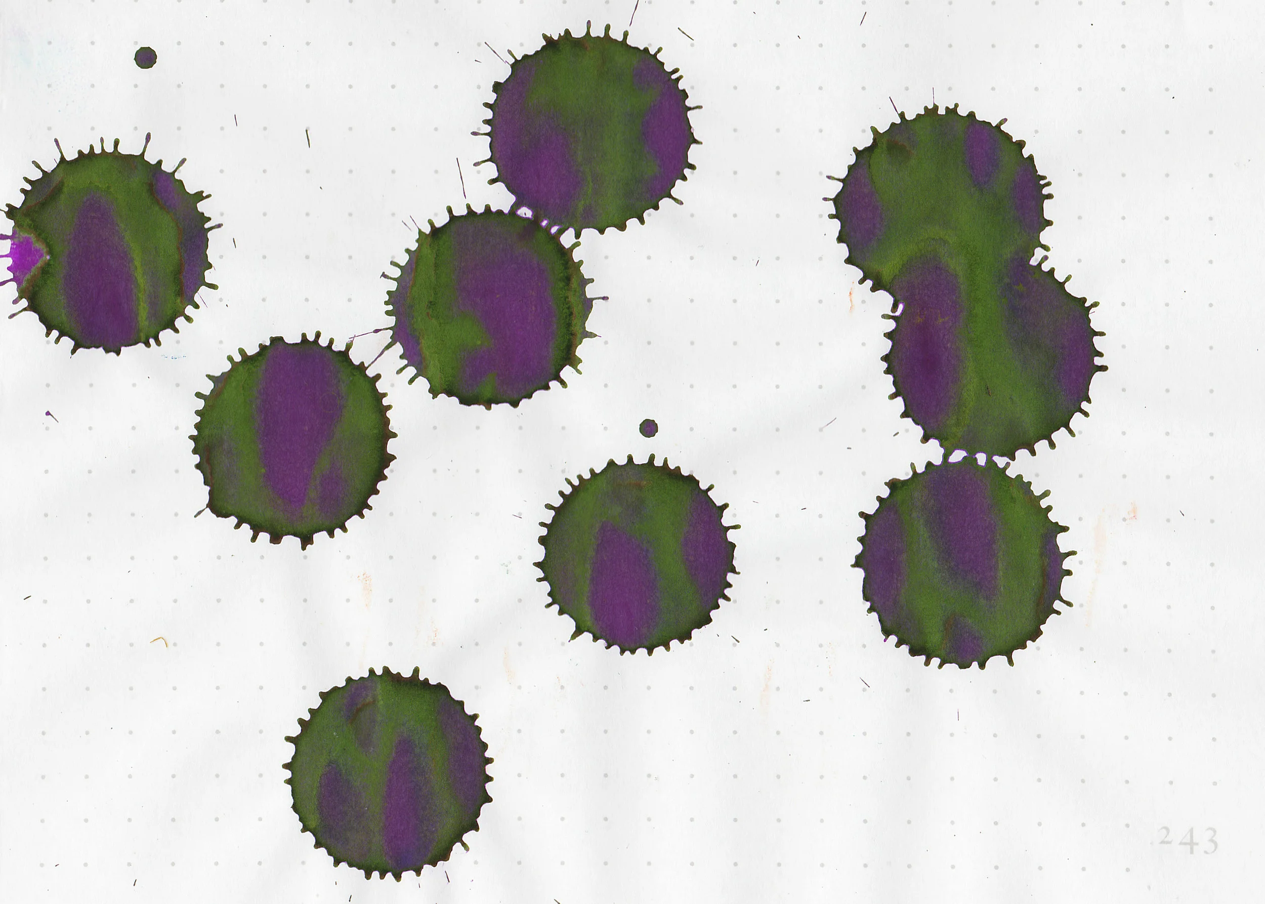 tbm-grape-vine-4.jpg