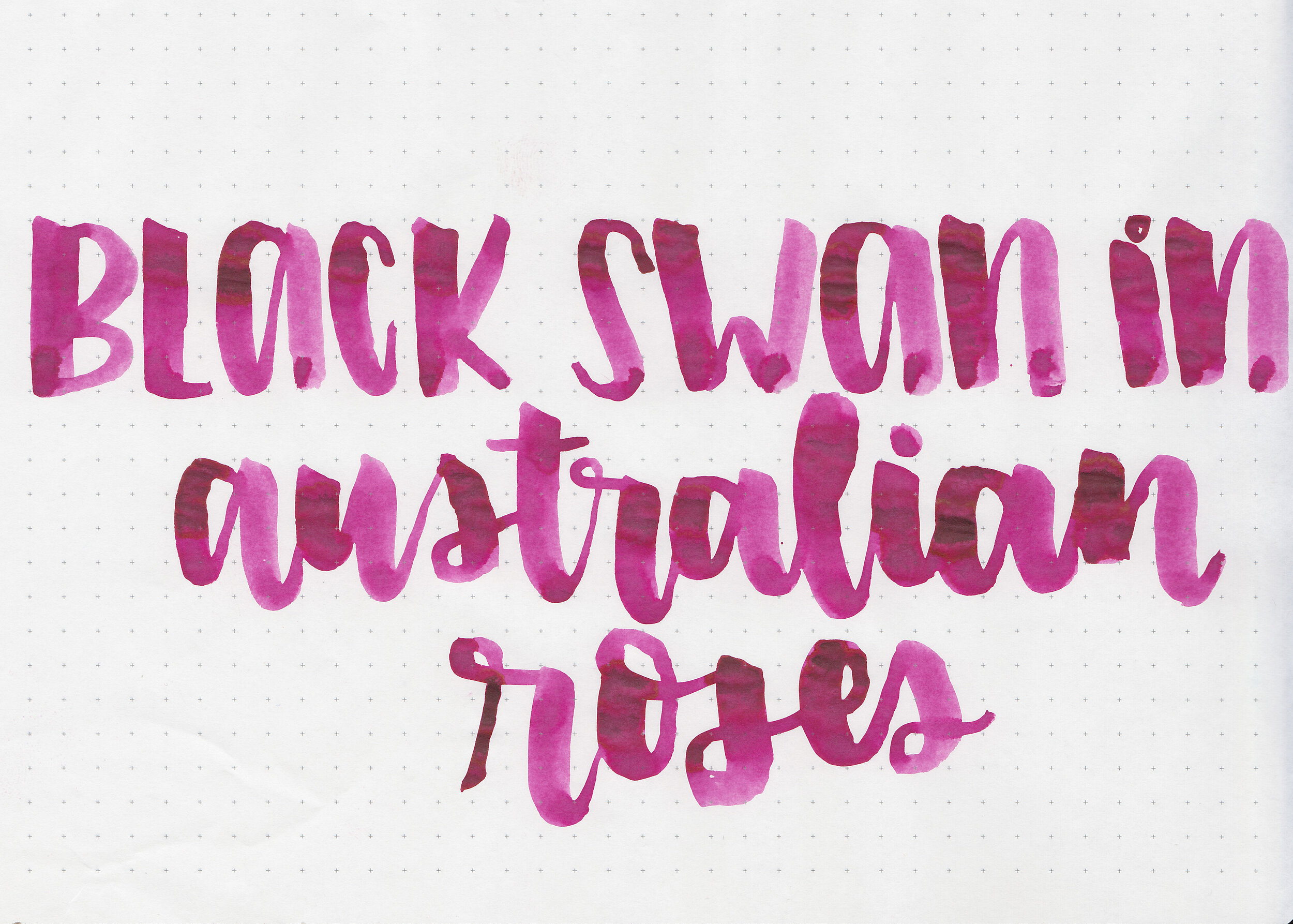 Ink #1070: Noodler's Swan in Australian Roses — Mountain of Ink