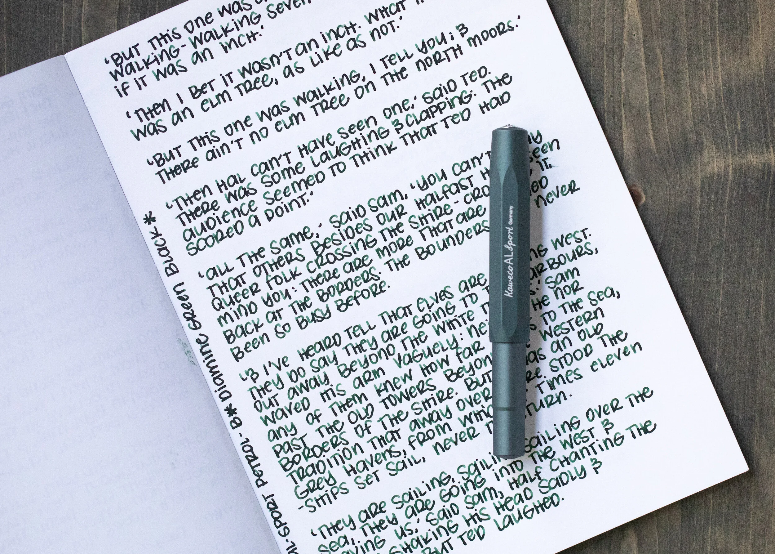 Ink Review 1130 Diamine Green Black — Mountain of Ink