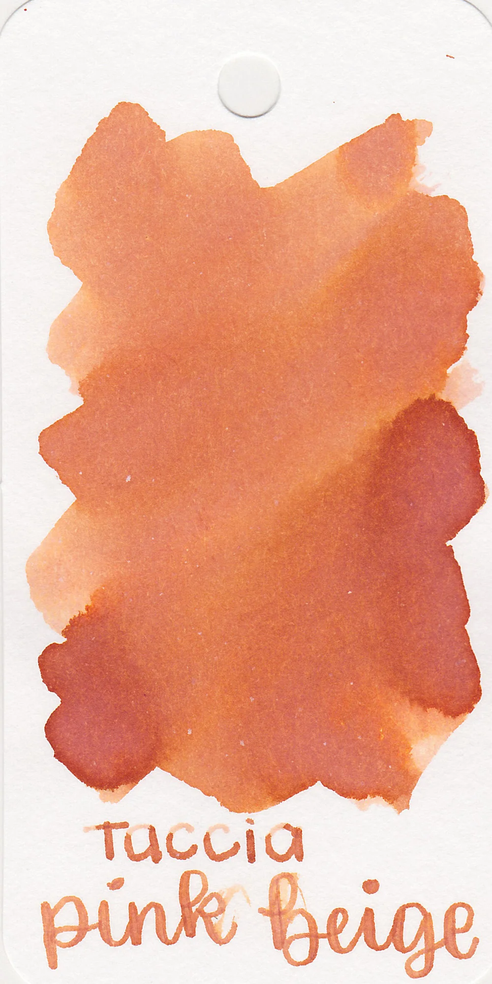 Ink Review #1340: Taccia Pink Beige — Mountain of Ink