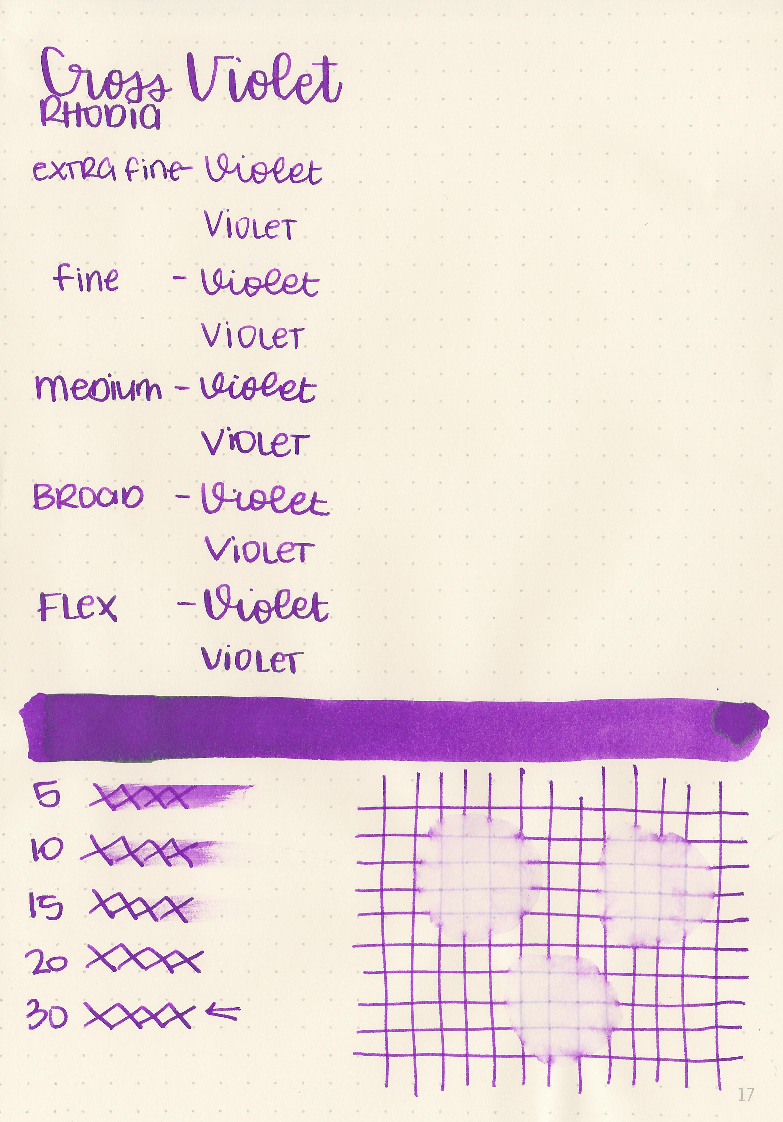 css-violet-4.jpg