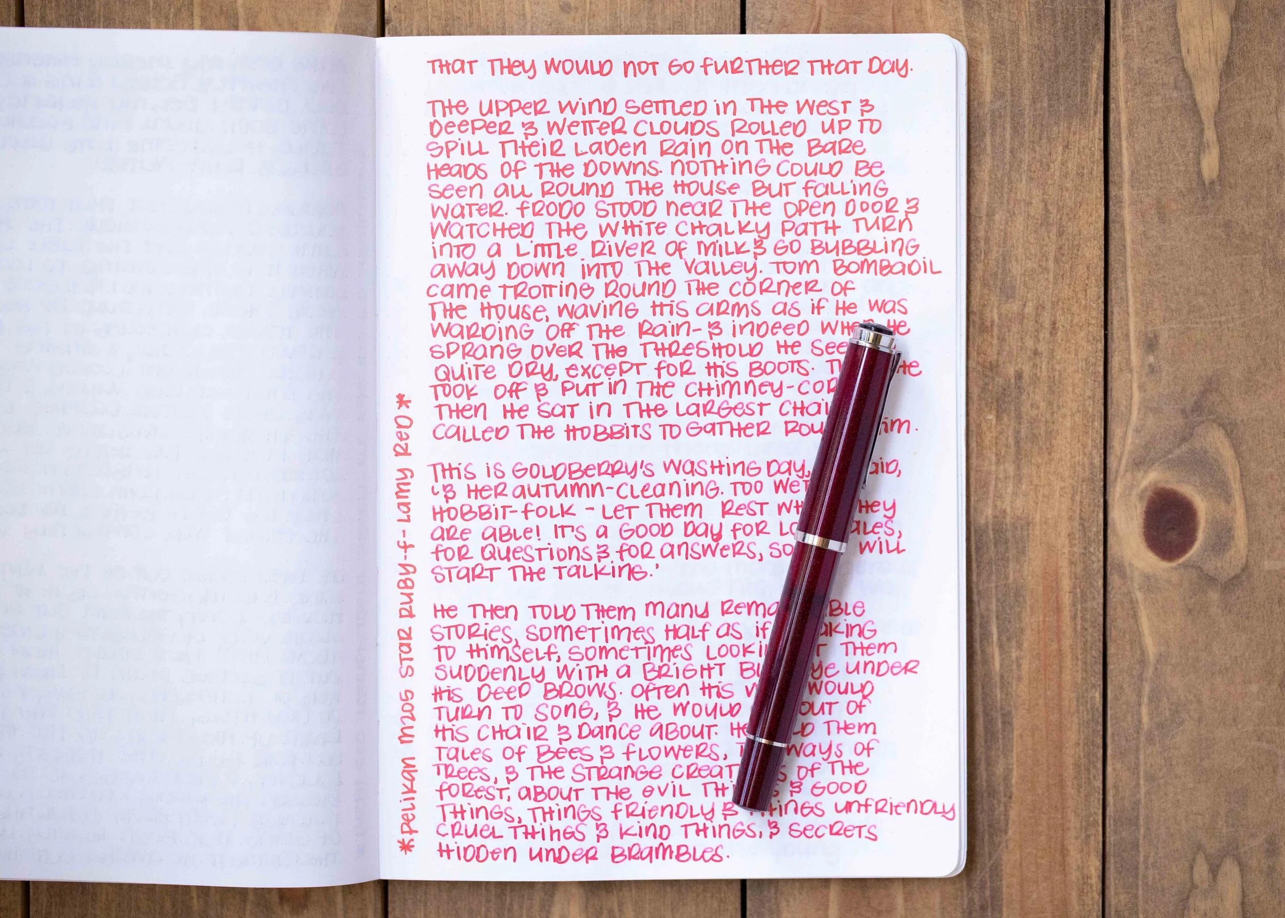 Red Ink Notes Ink Review #1438: Lamy Red — Mountain of Ink