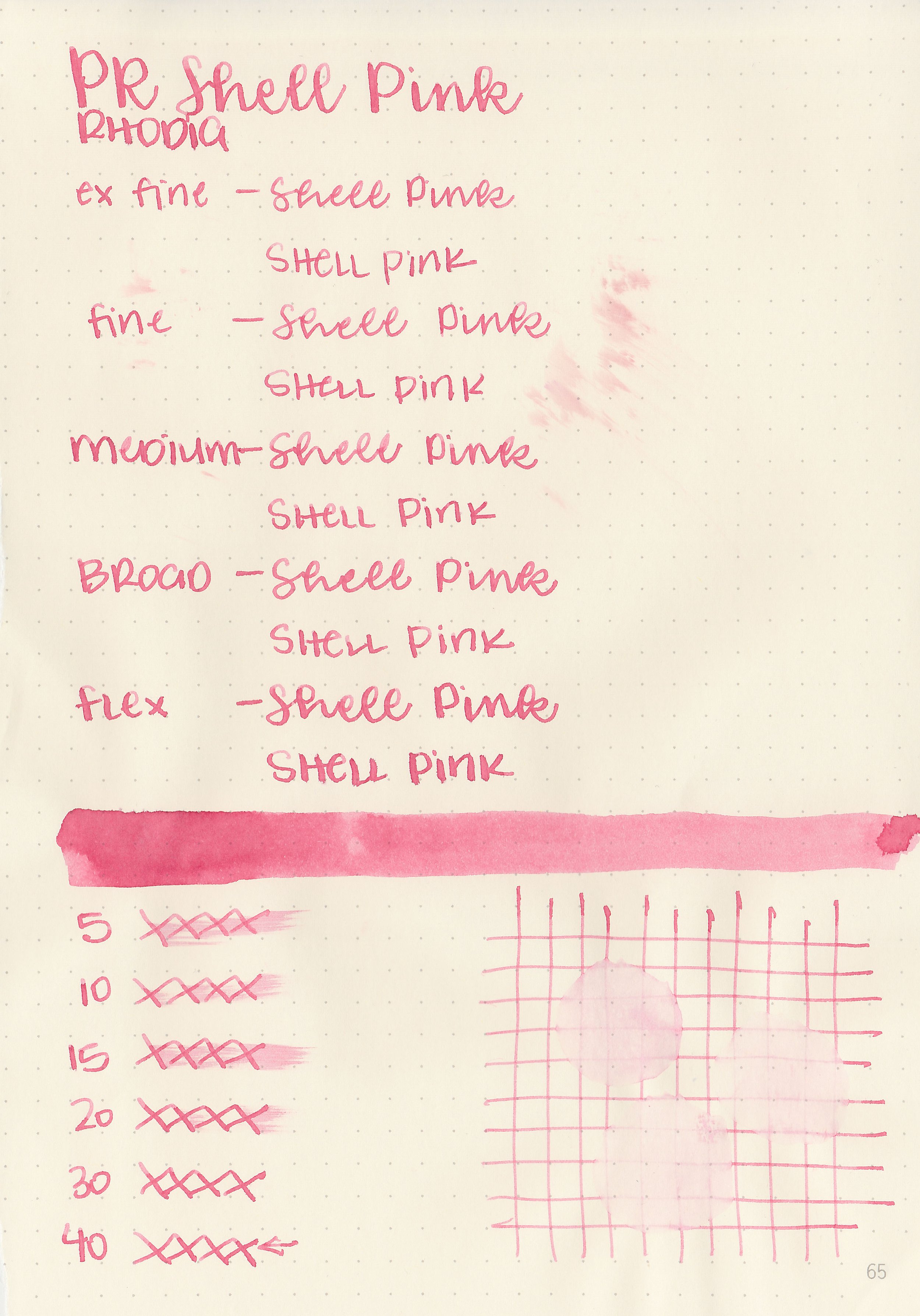 pr-shell-pink-5.jpg