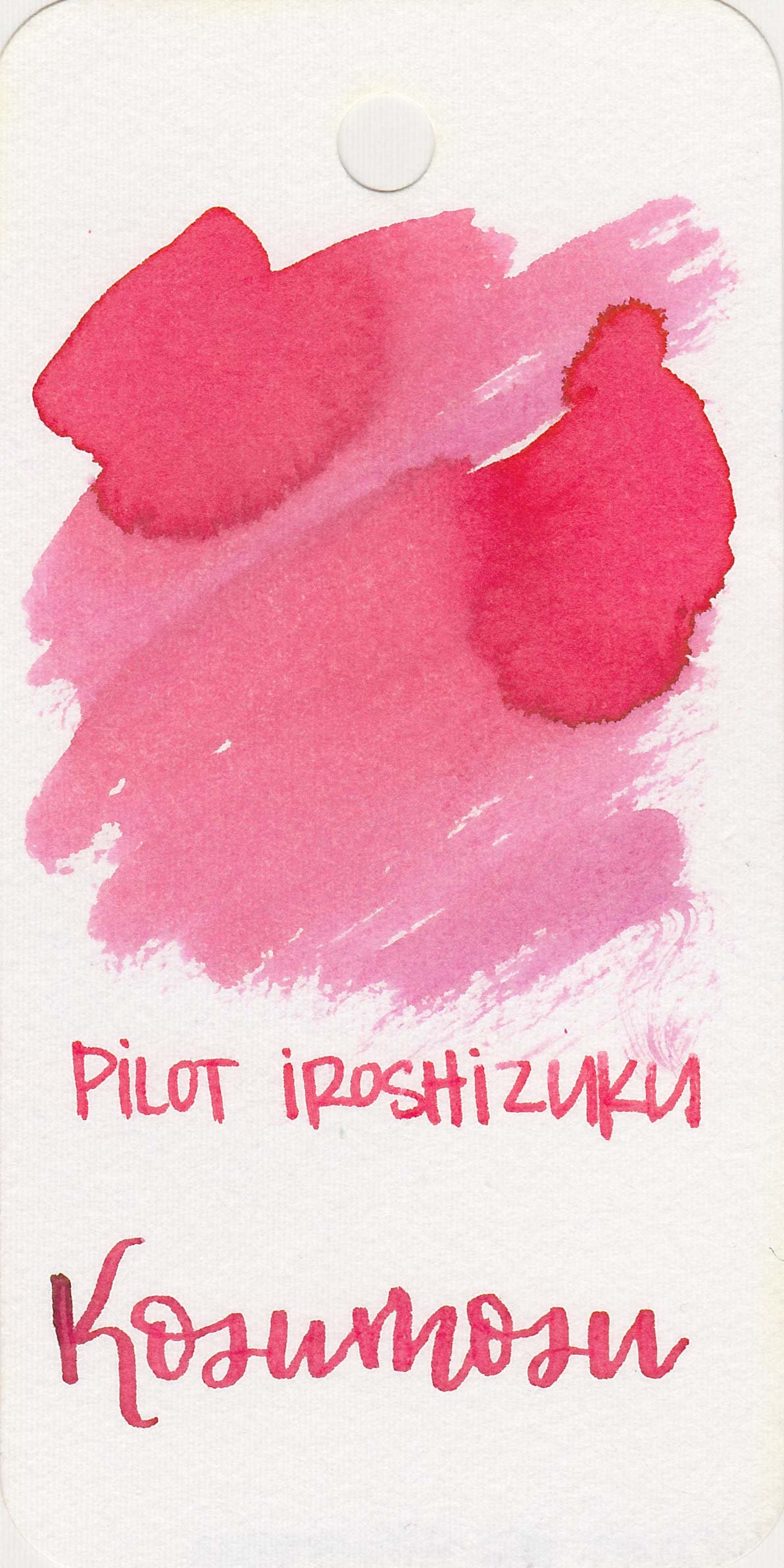 pilotKosumosu-1.jpg
