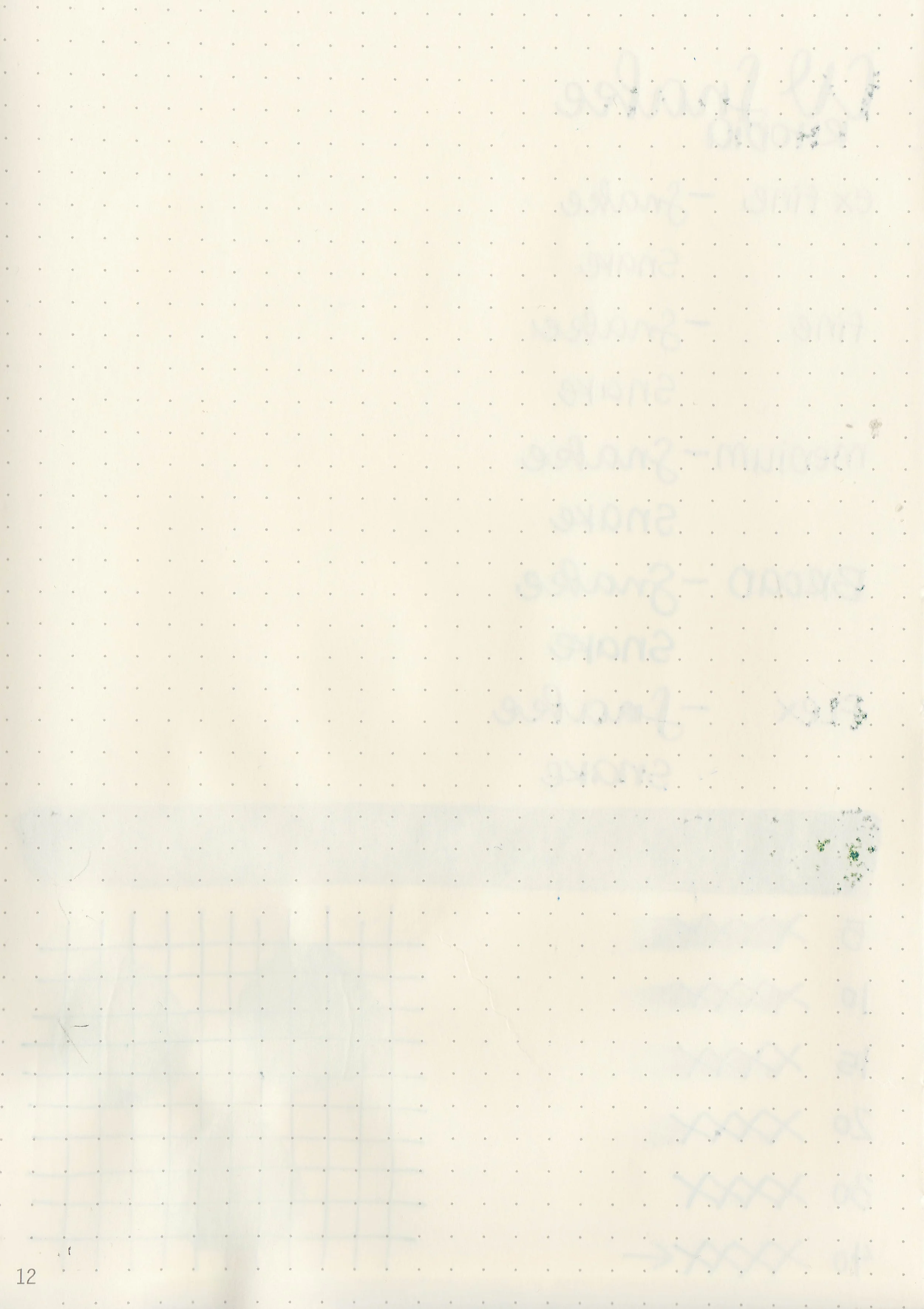 cv-snake-9.jpg