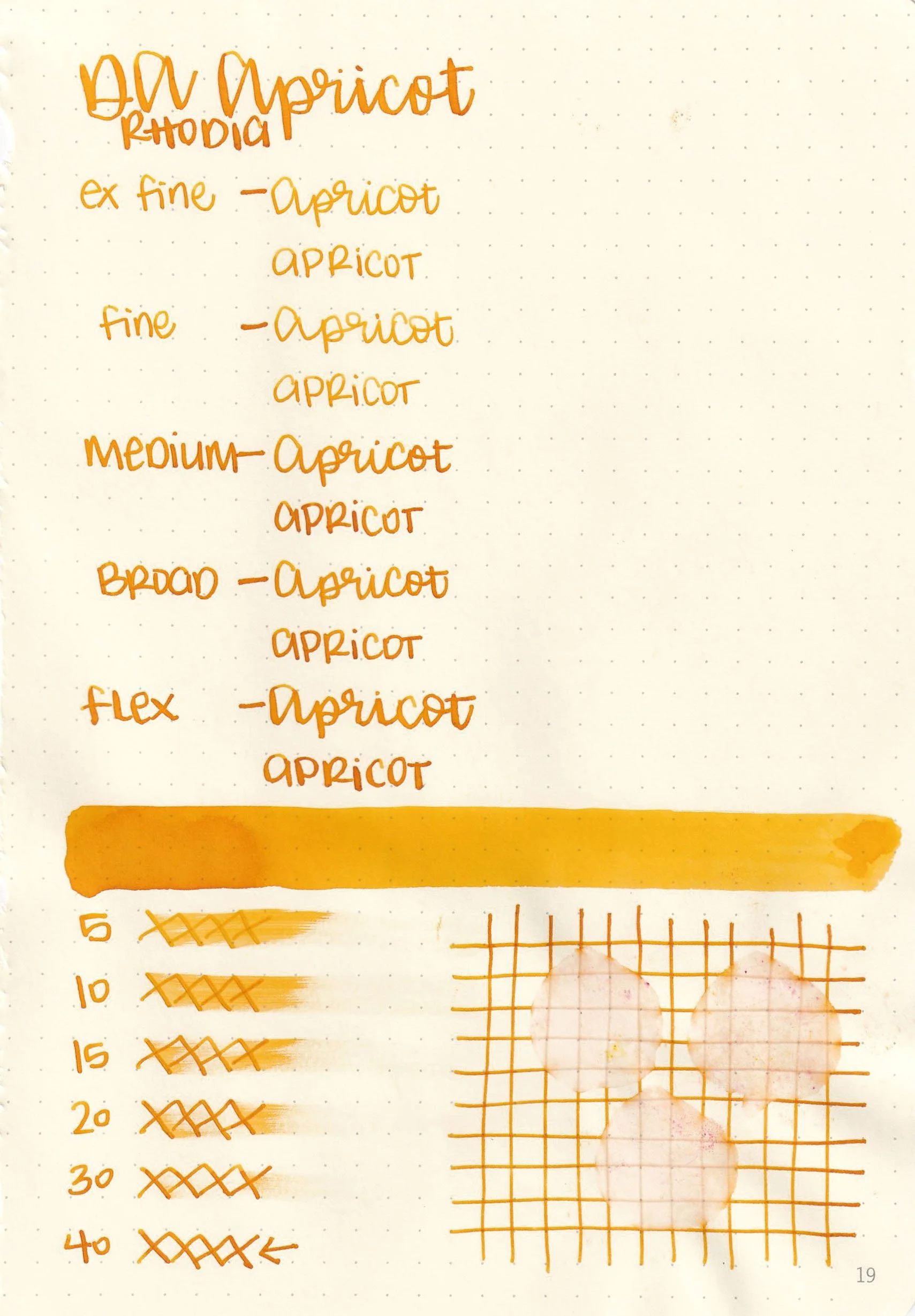 da-apricot-6.jpg