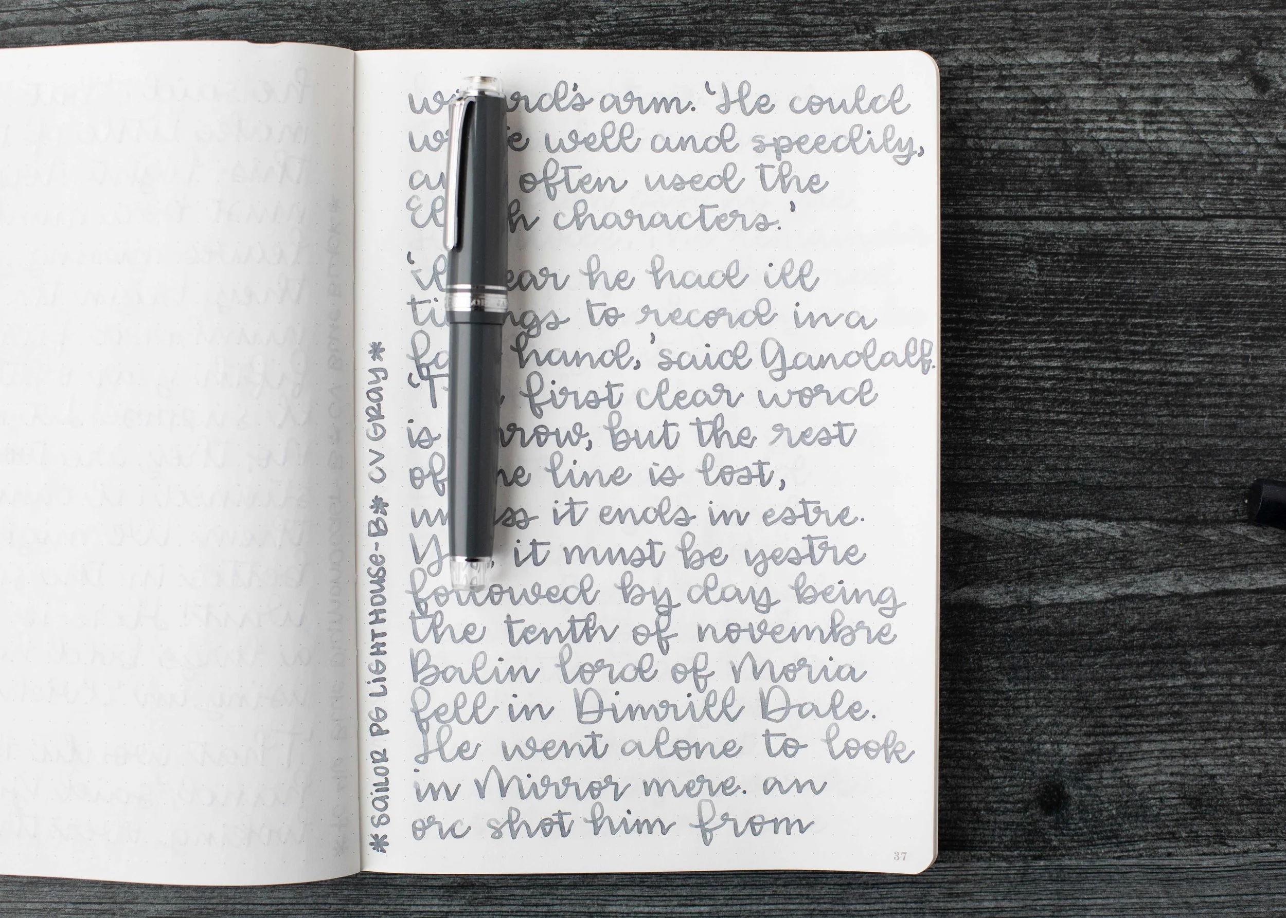 Ink Review #1875: Colorverse Gray — Mountain of Ink