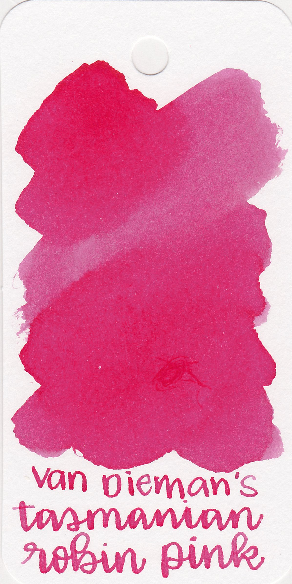 Ink Review #1756: Van Dieman's Tasmanian Robin Pink — Mountain of Ink