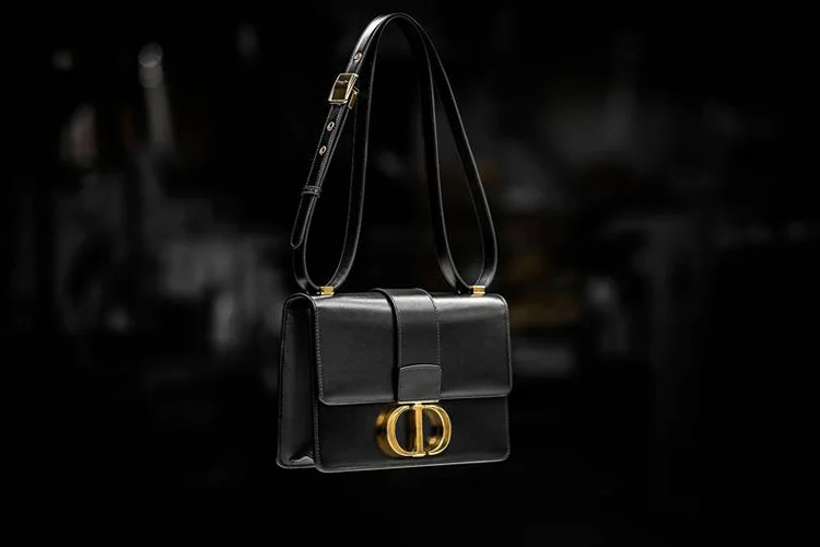 hypnotique-dior-bag-2.jpg