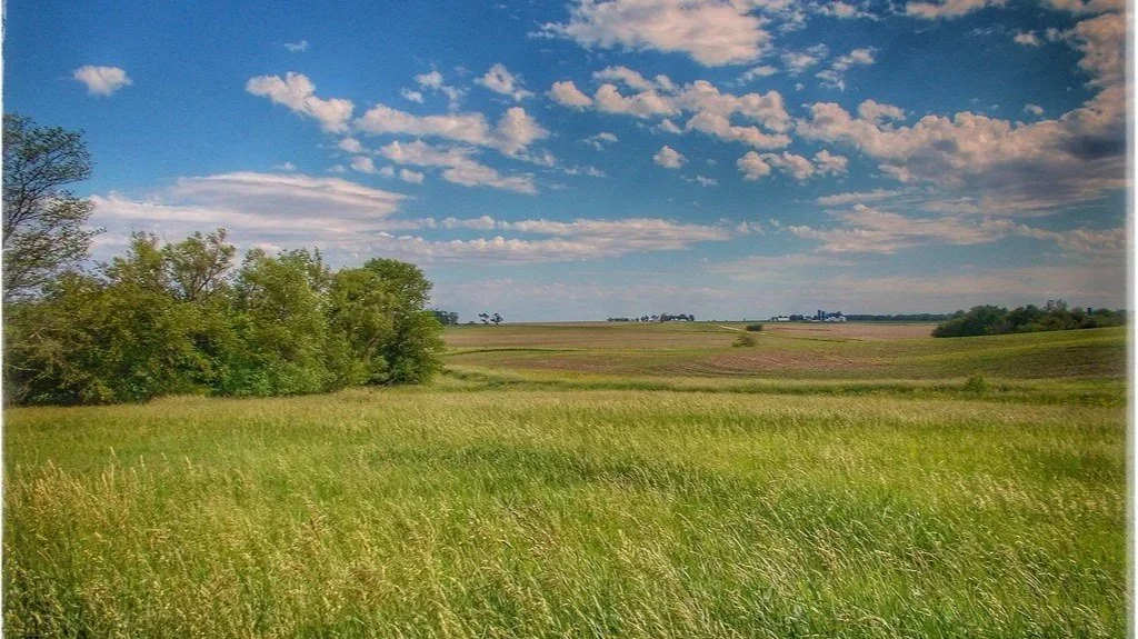 illinois background 2.jpg