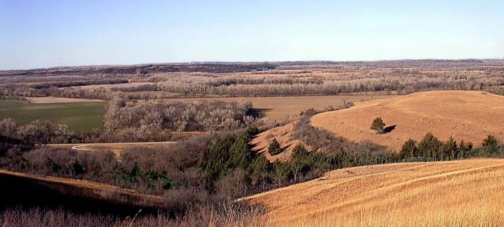 kansas background.jpg