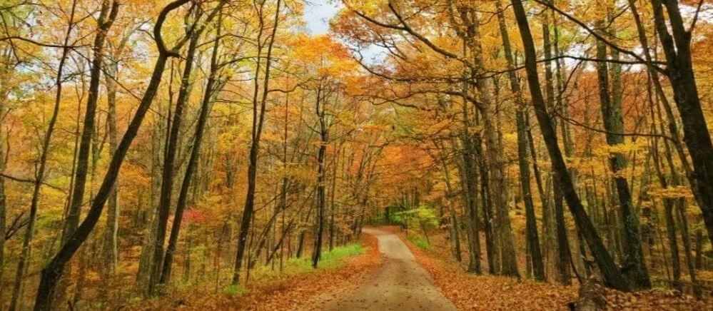 kentucky background.jpg