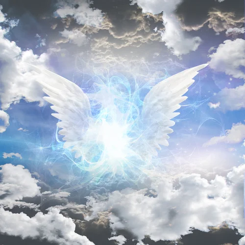 angel wings.jpg