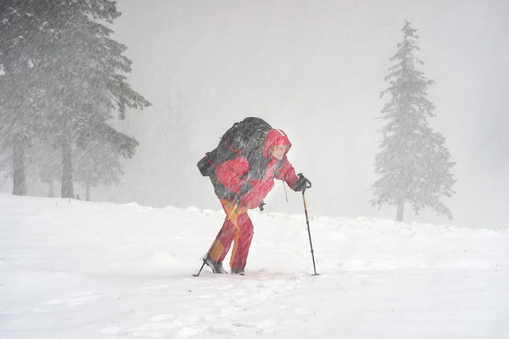 snow storm.jpg