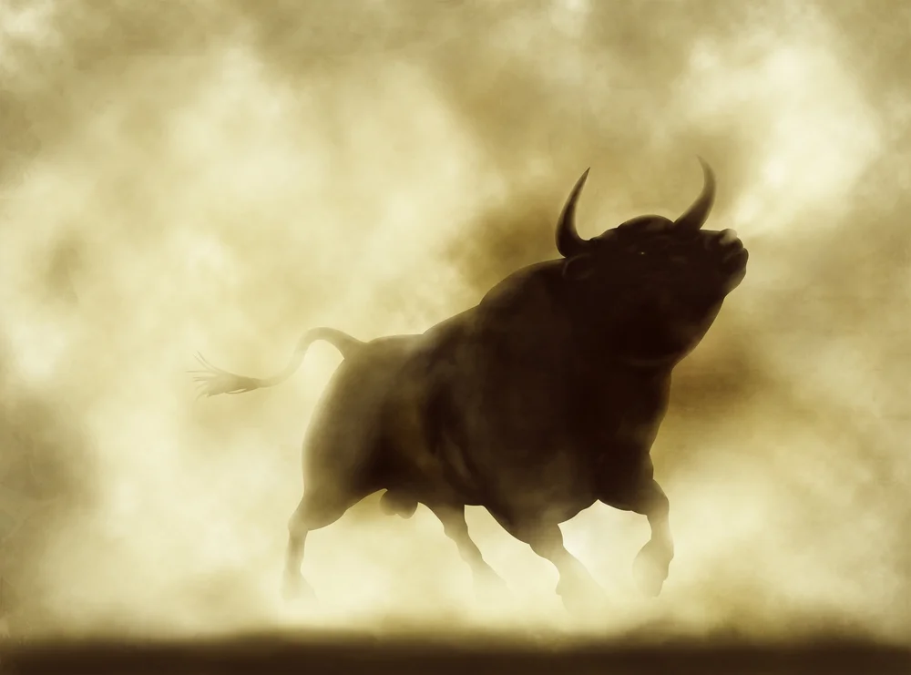 bull.jpg