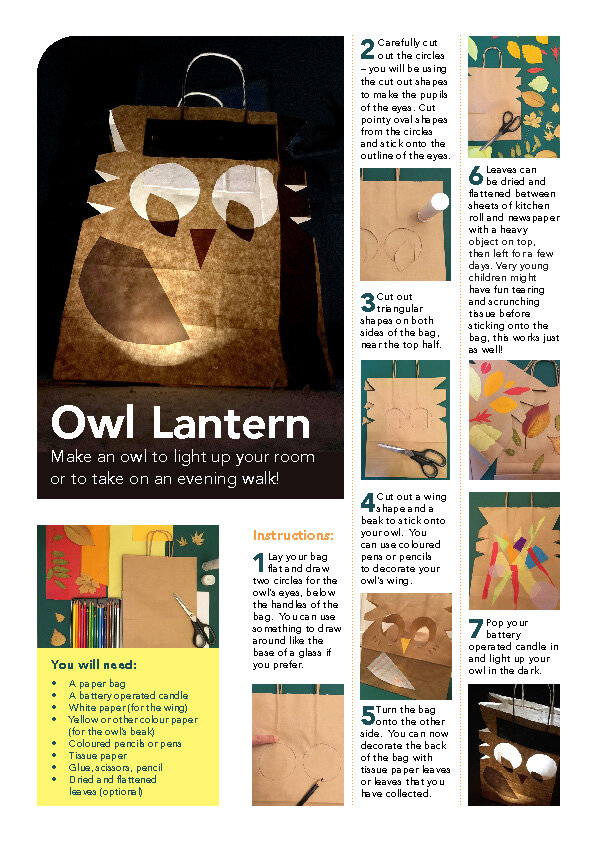 owl sheet.jpg